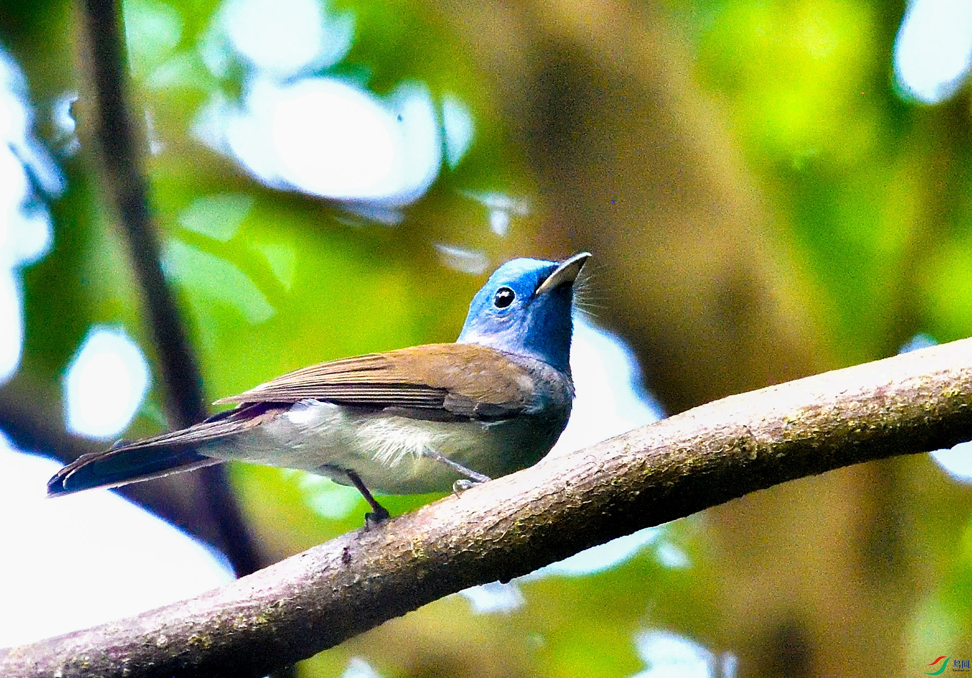 DSC_1180.jpg