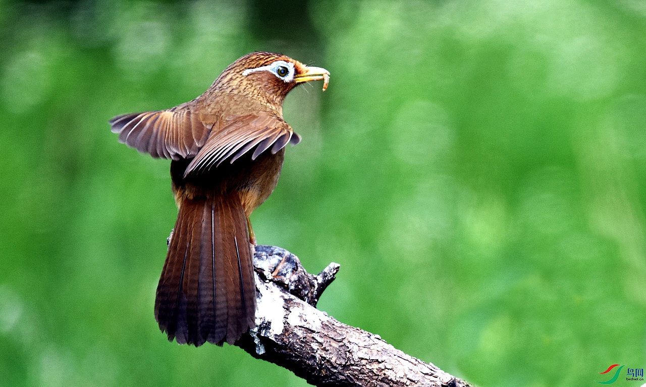 DSC_7248.JPG