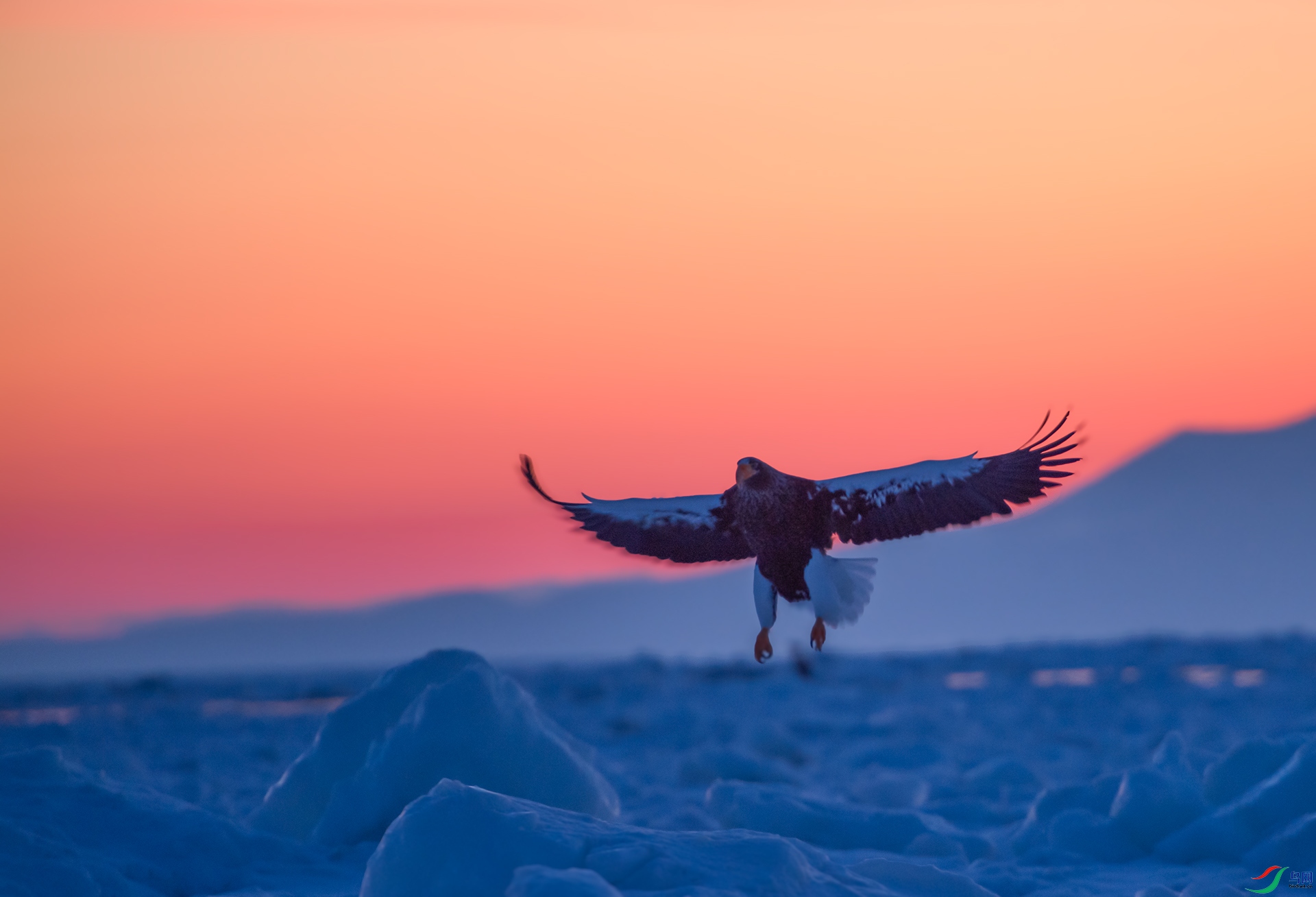 ��DSC_0661 ��ؐ.jpg