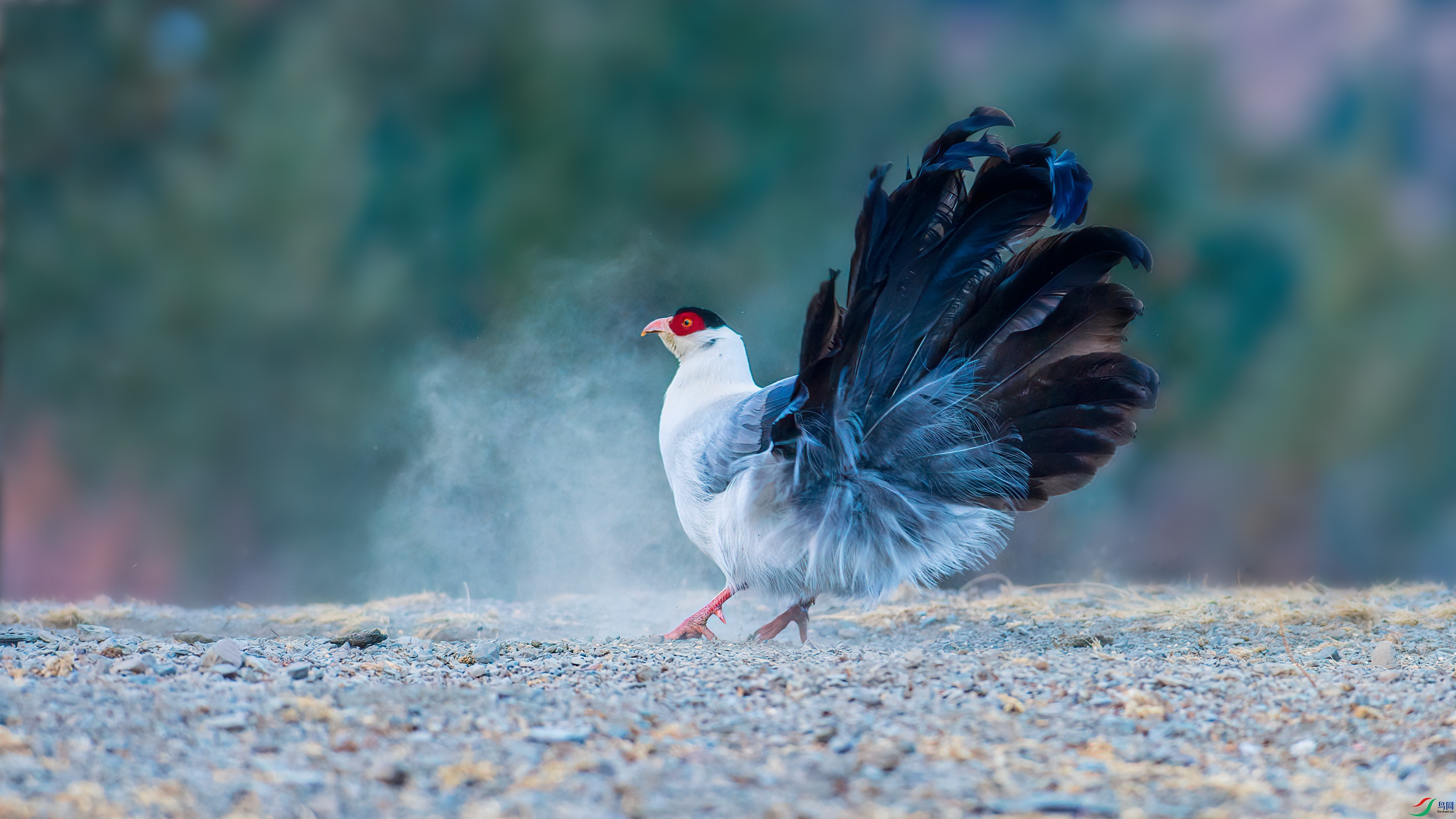 DSC_4533 ����.jpg