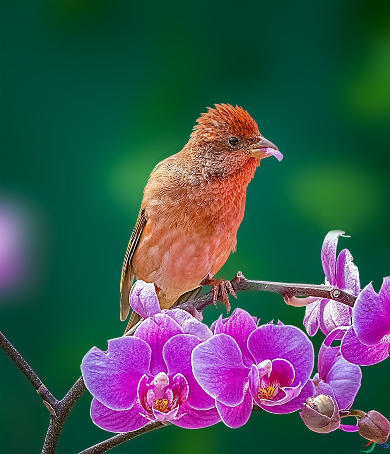 ��ͨ��ȸ��