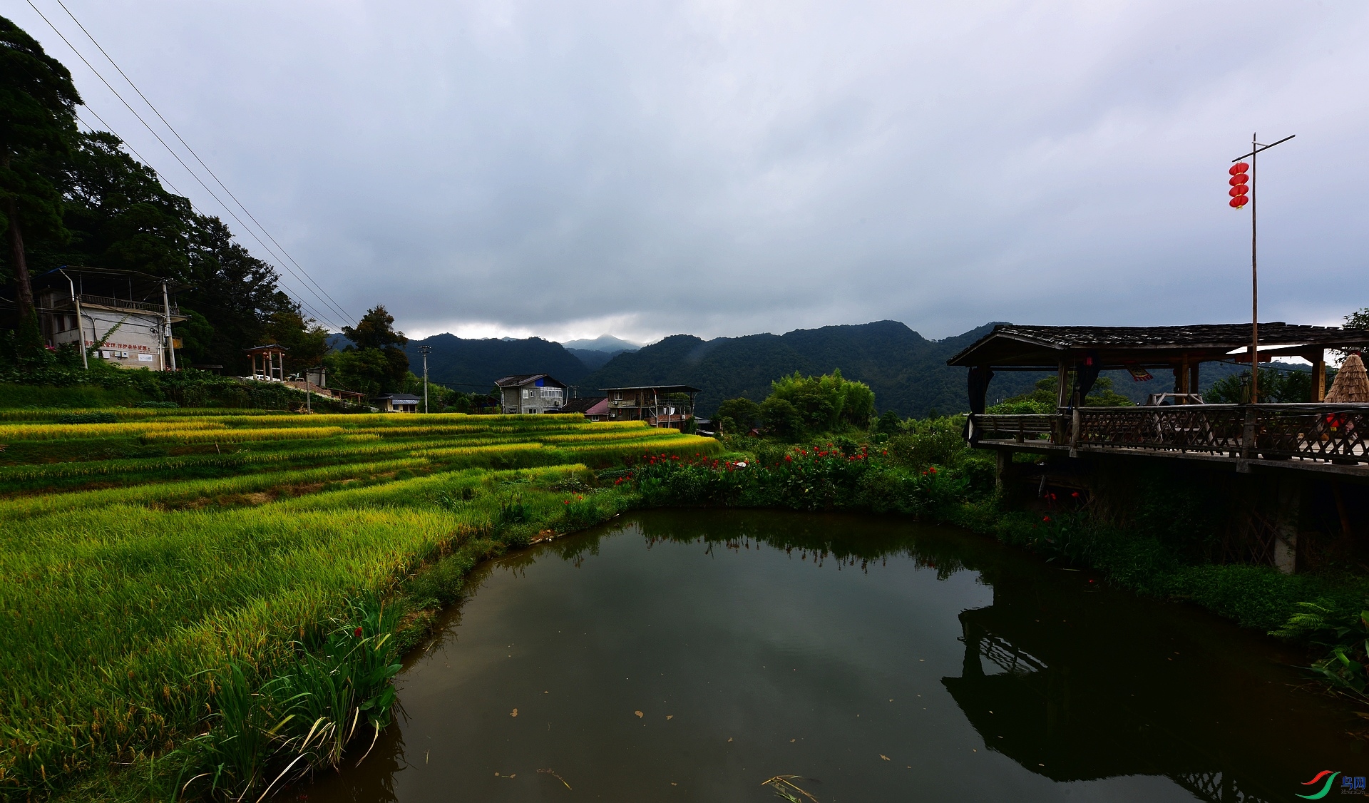 D8I_5848.jpg