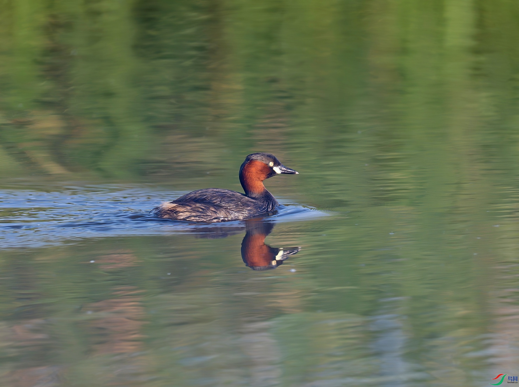 _DSC7399f.jpg