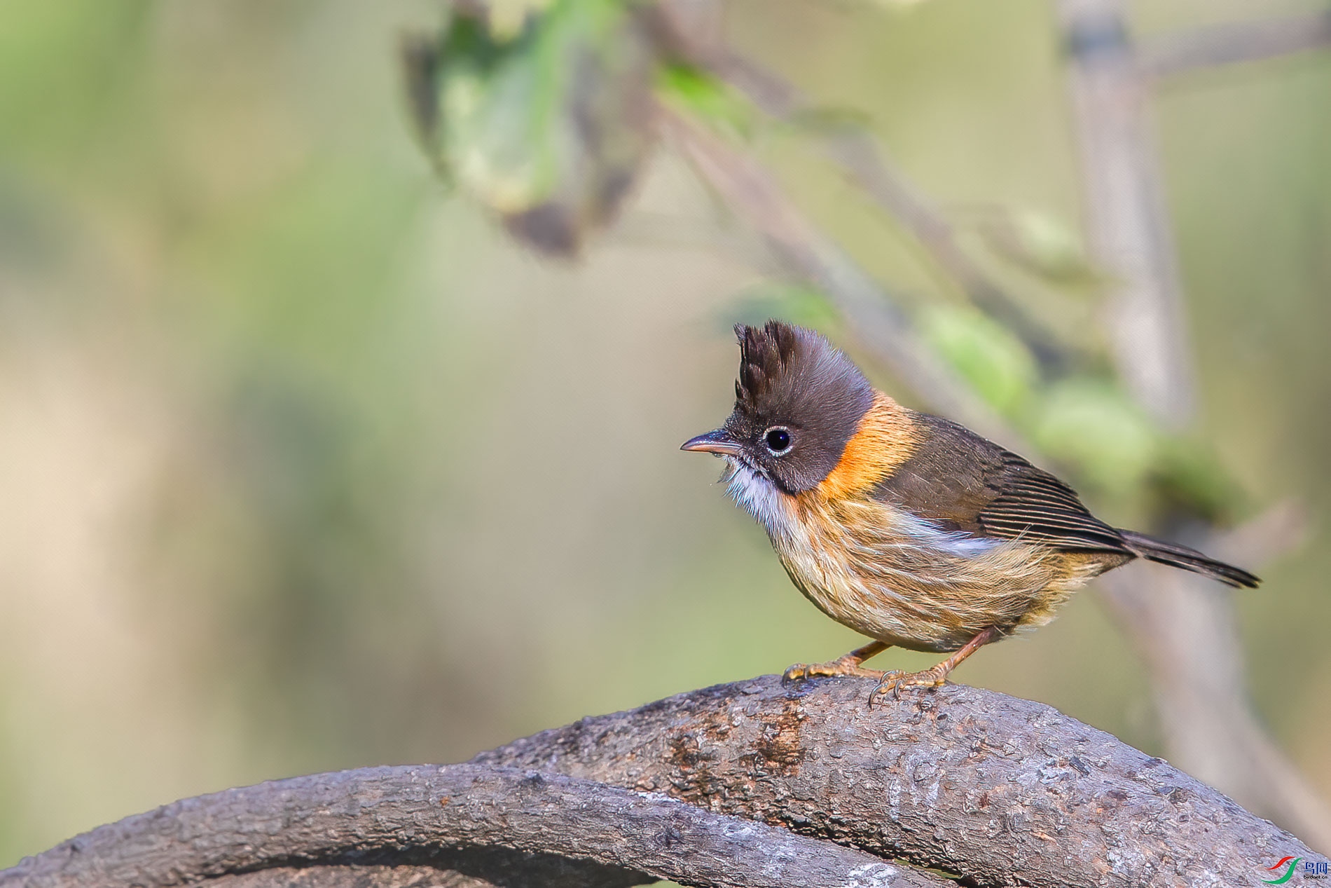 AQ4P0876-1.jpg