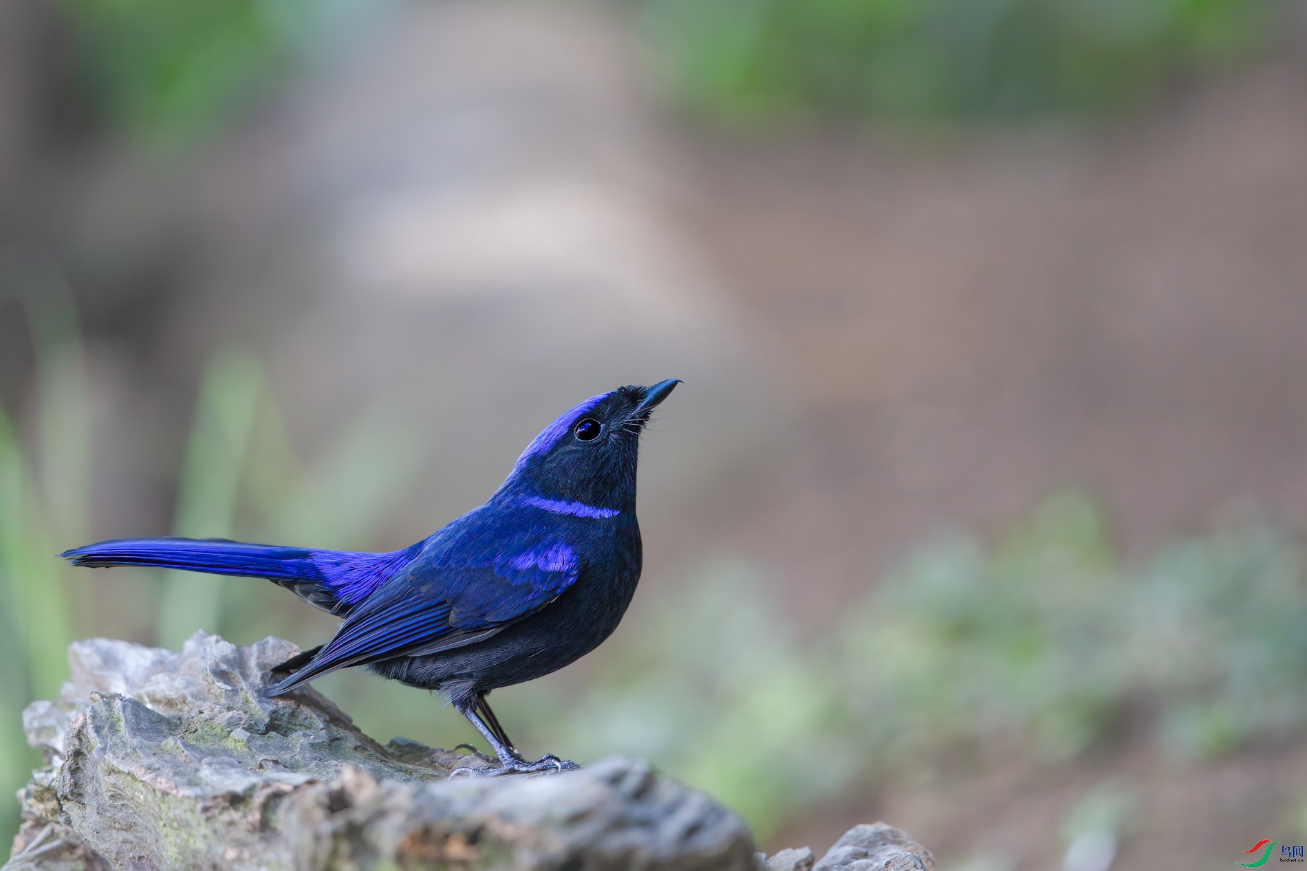 AQ4P1439-1.jpg
