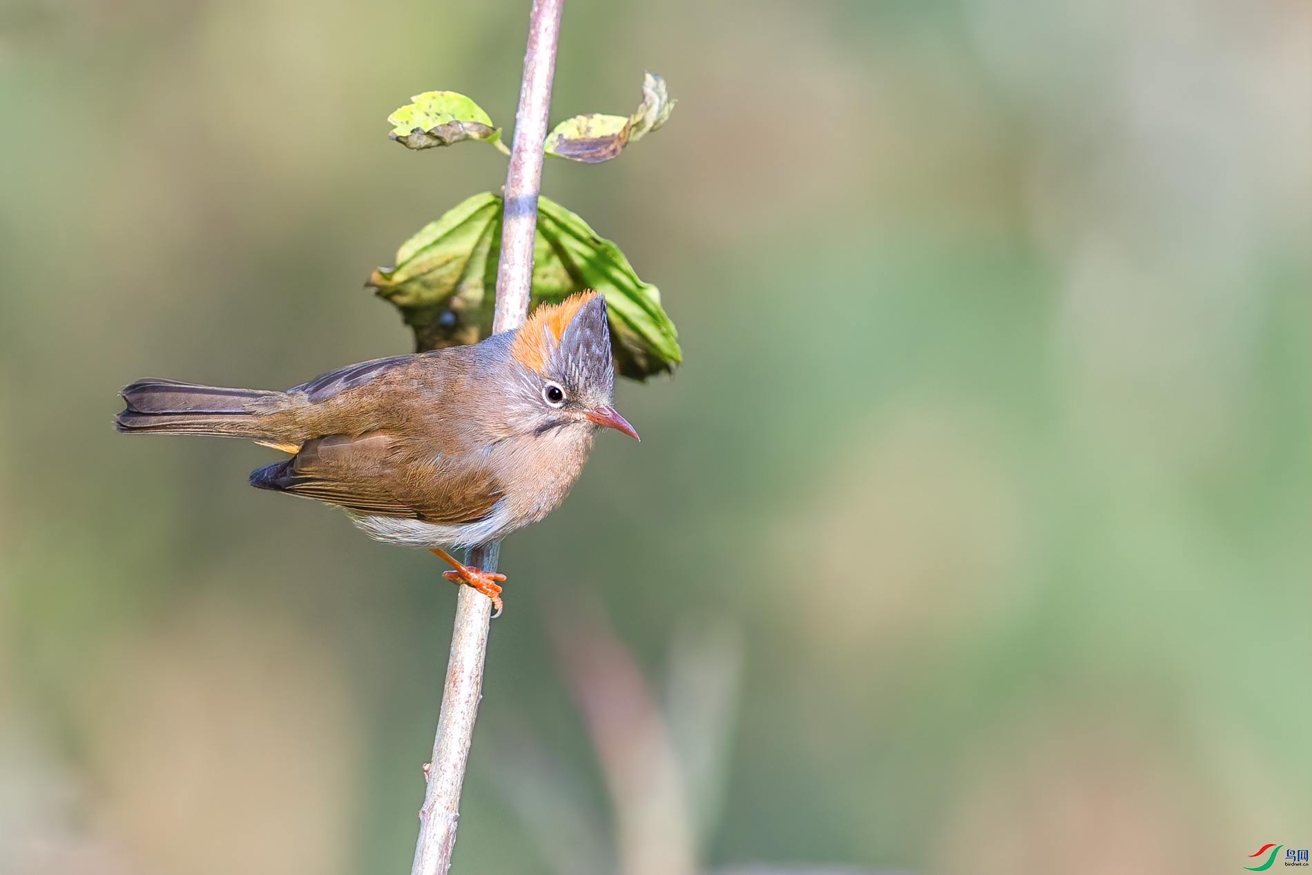 AQ4P0816-1.jpg