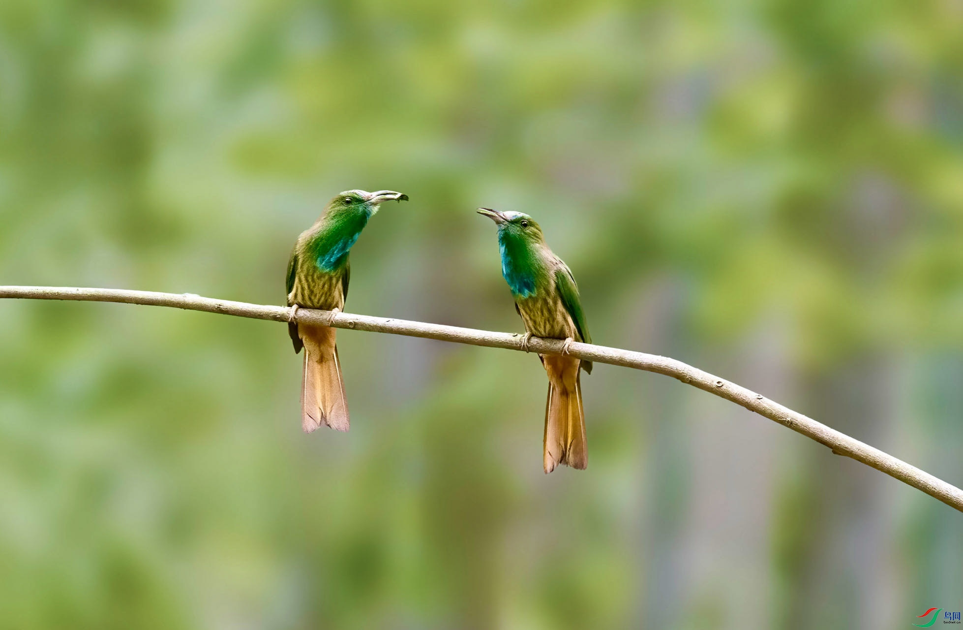 ����ҹ�仢