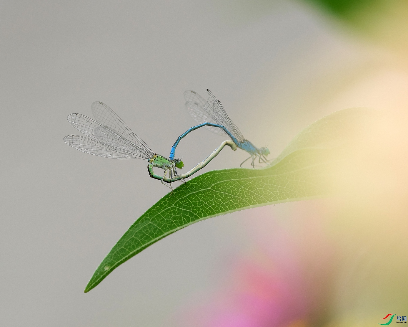 DSCF5777.jpg
