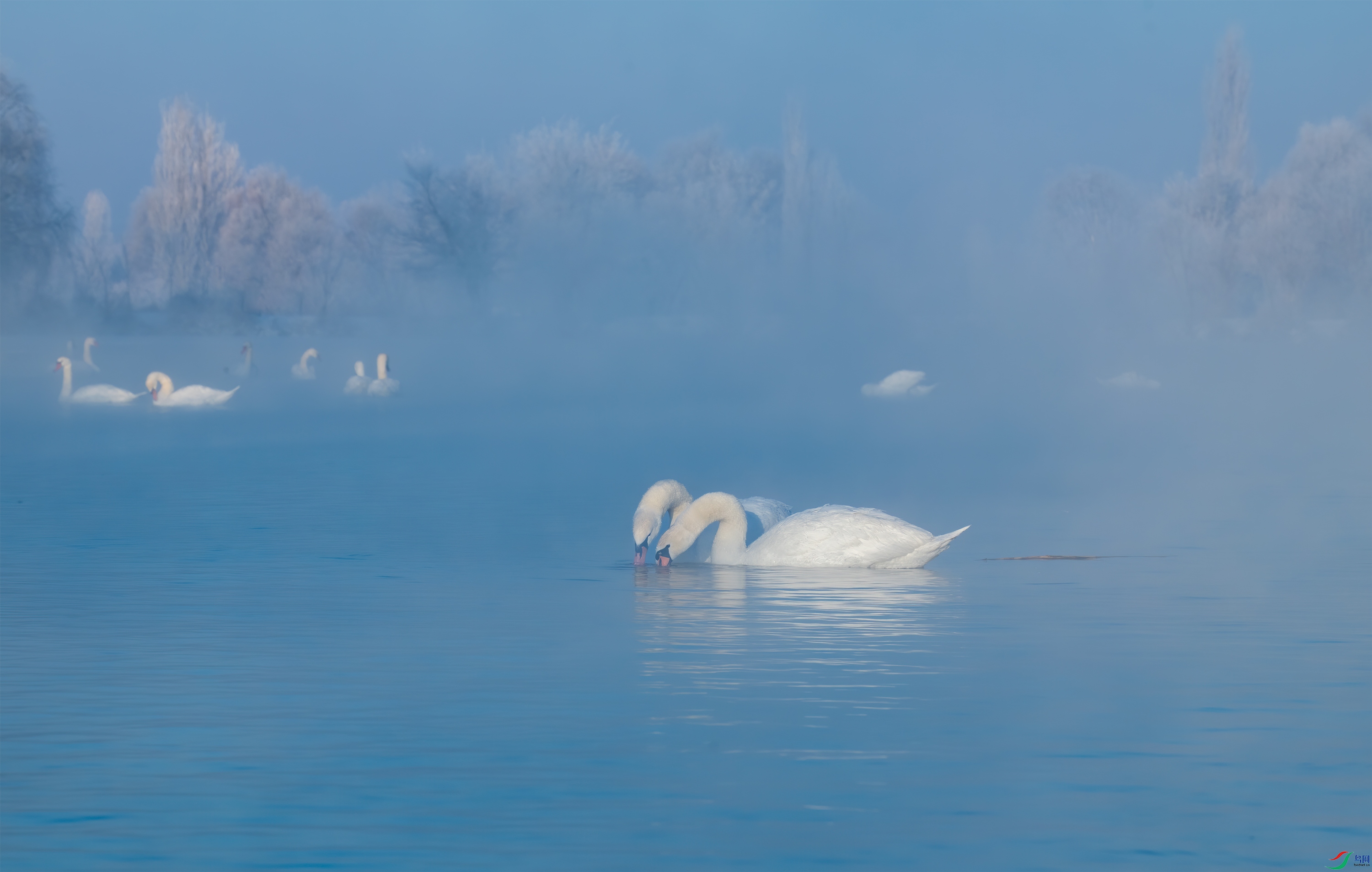 DSC_3811-11.jpg