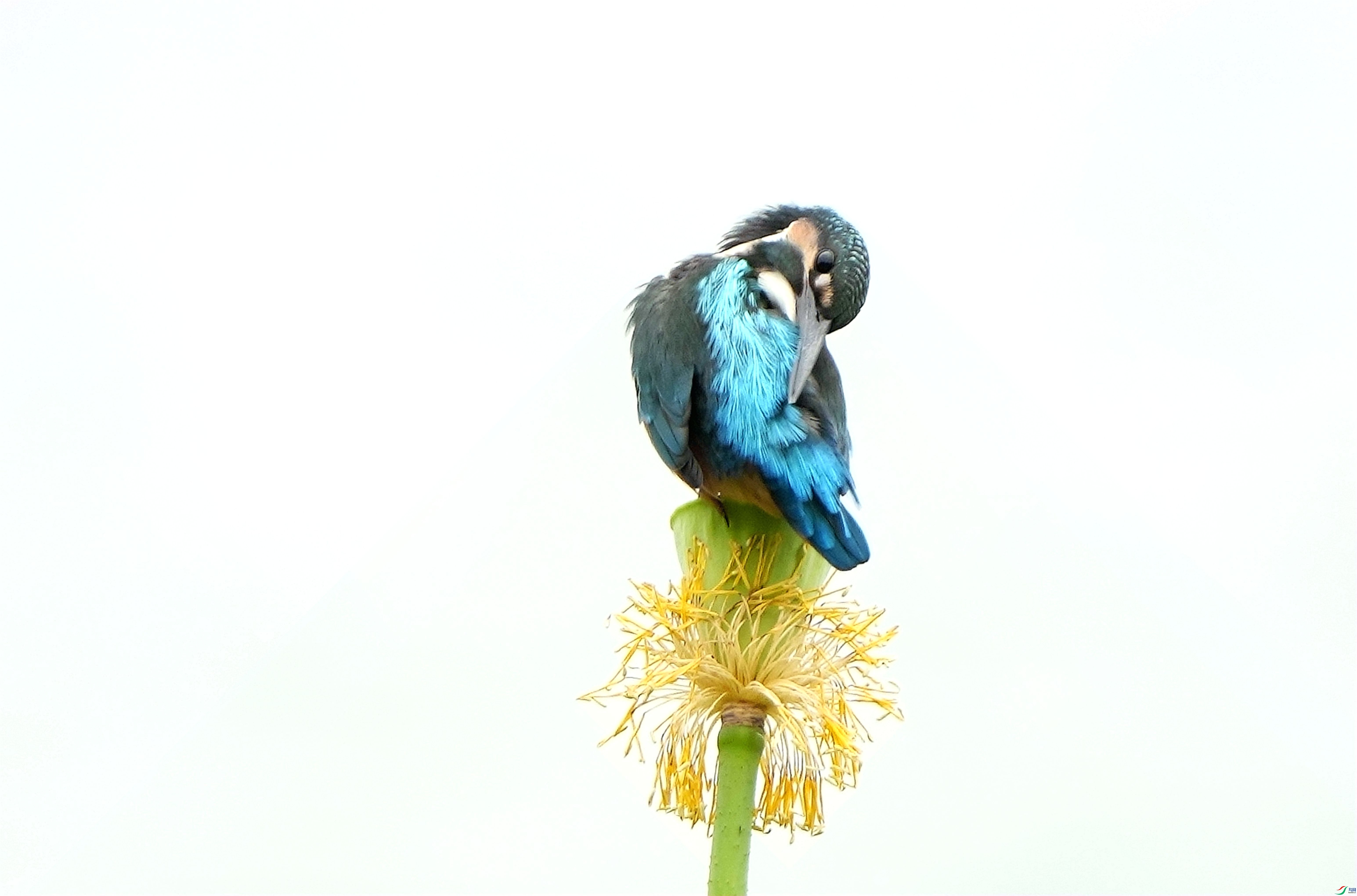 �������ױ̨DSC06110_����.jpg