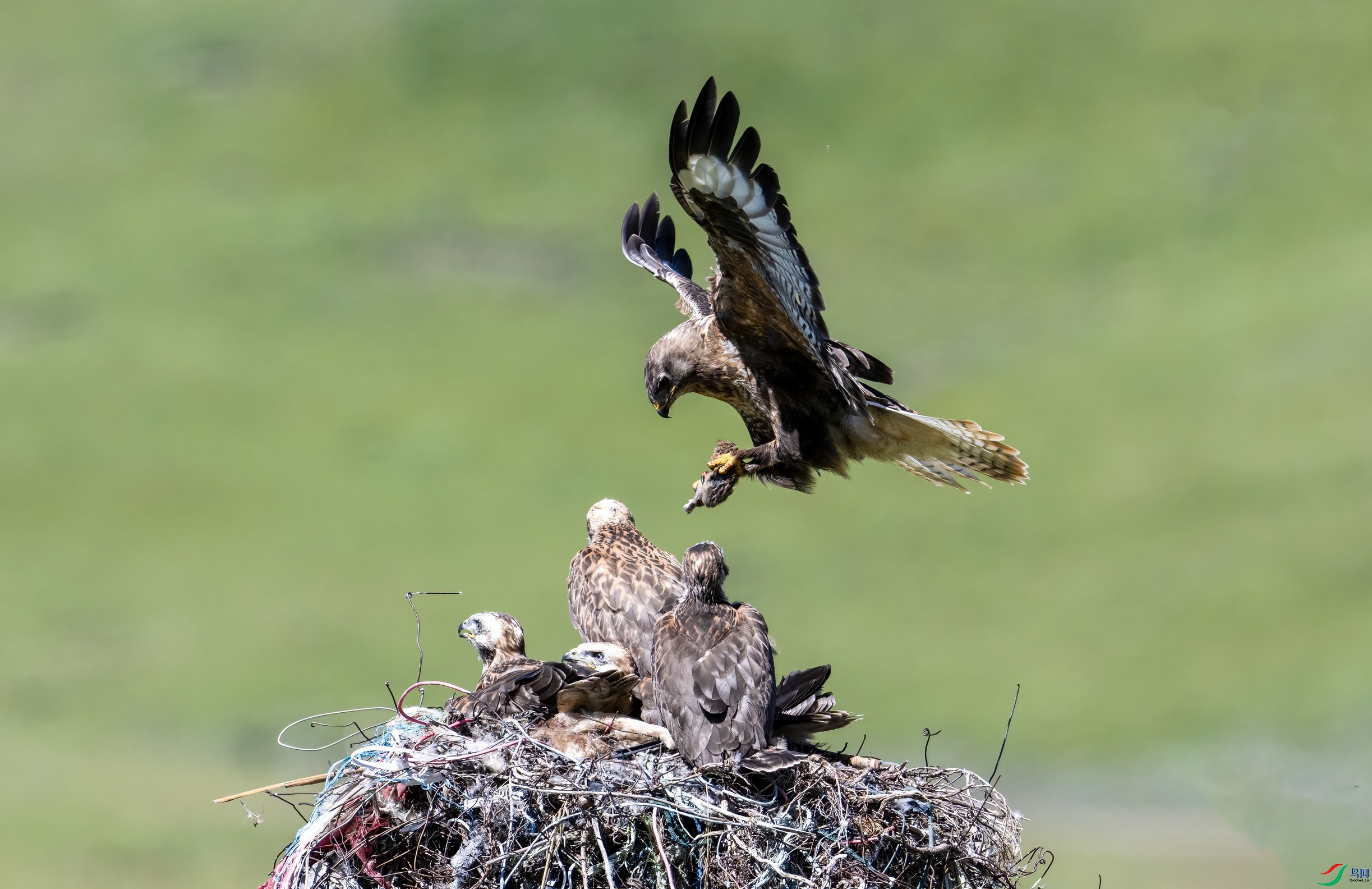 DSC_1146 ����.jpgx.jpg