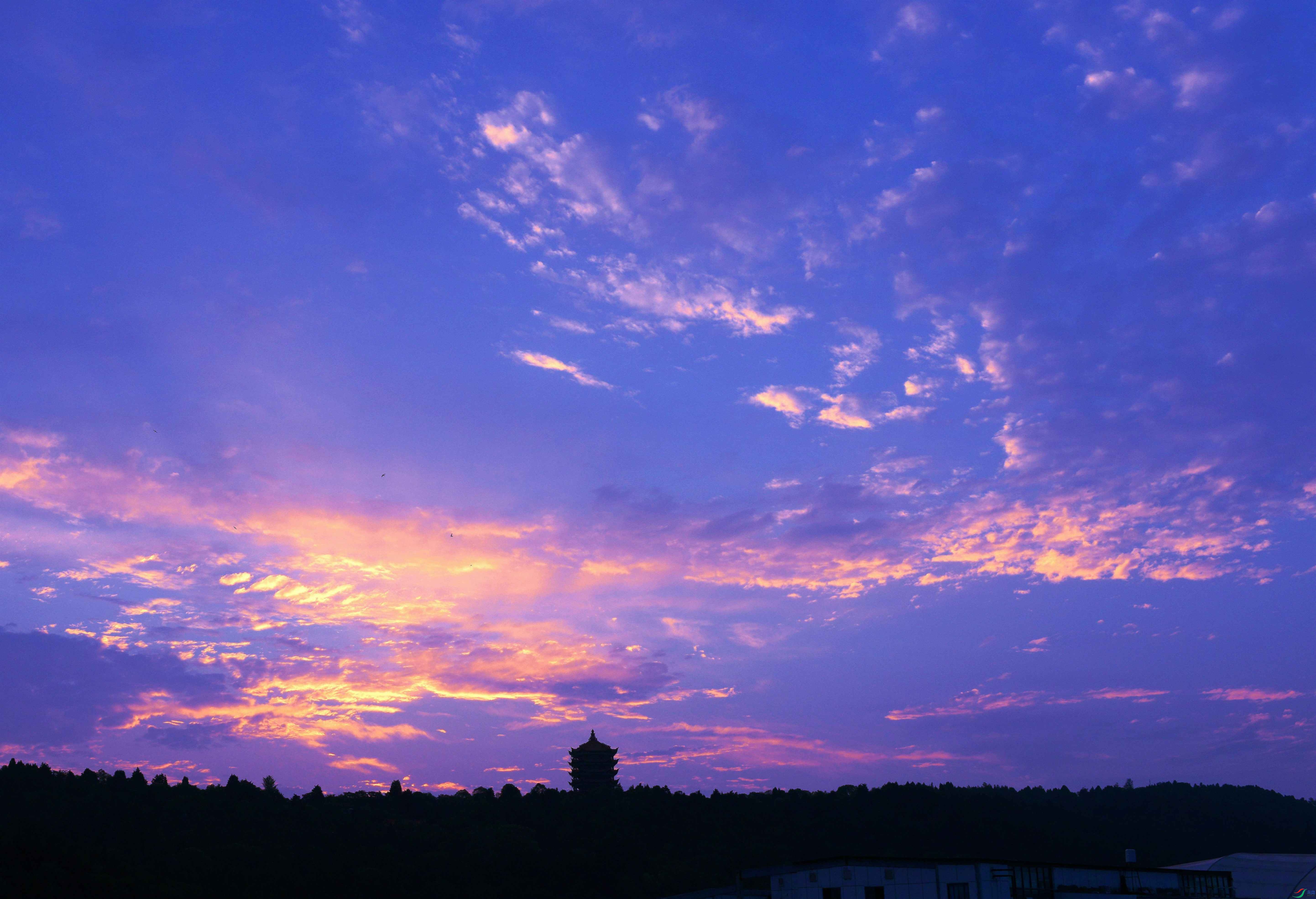 DSC_6851.JPG