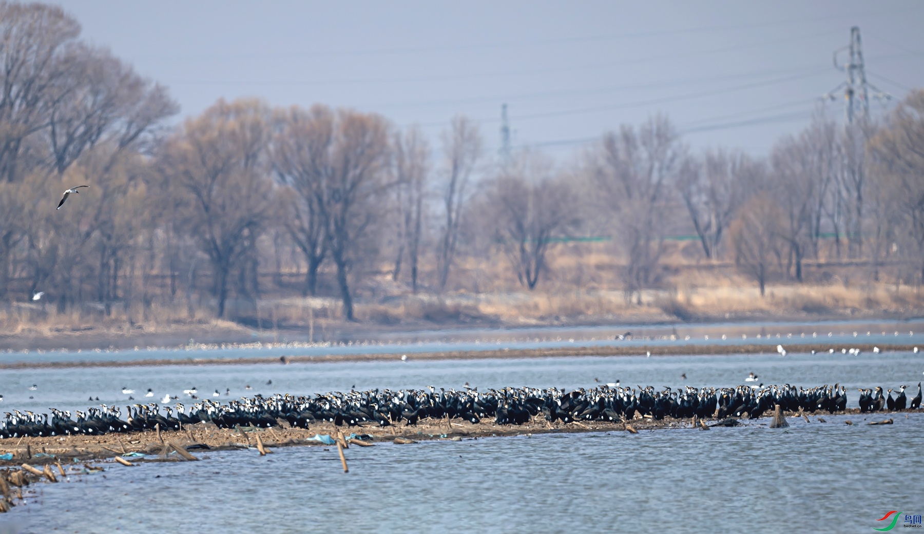_DSC6107f.jpg