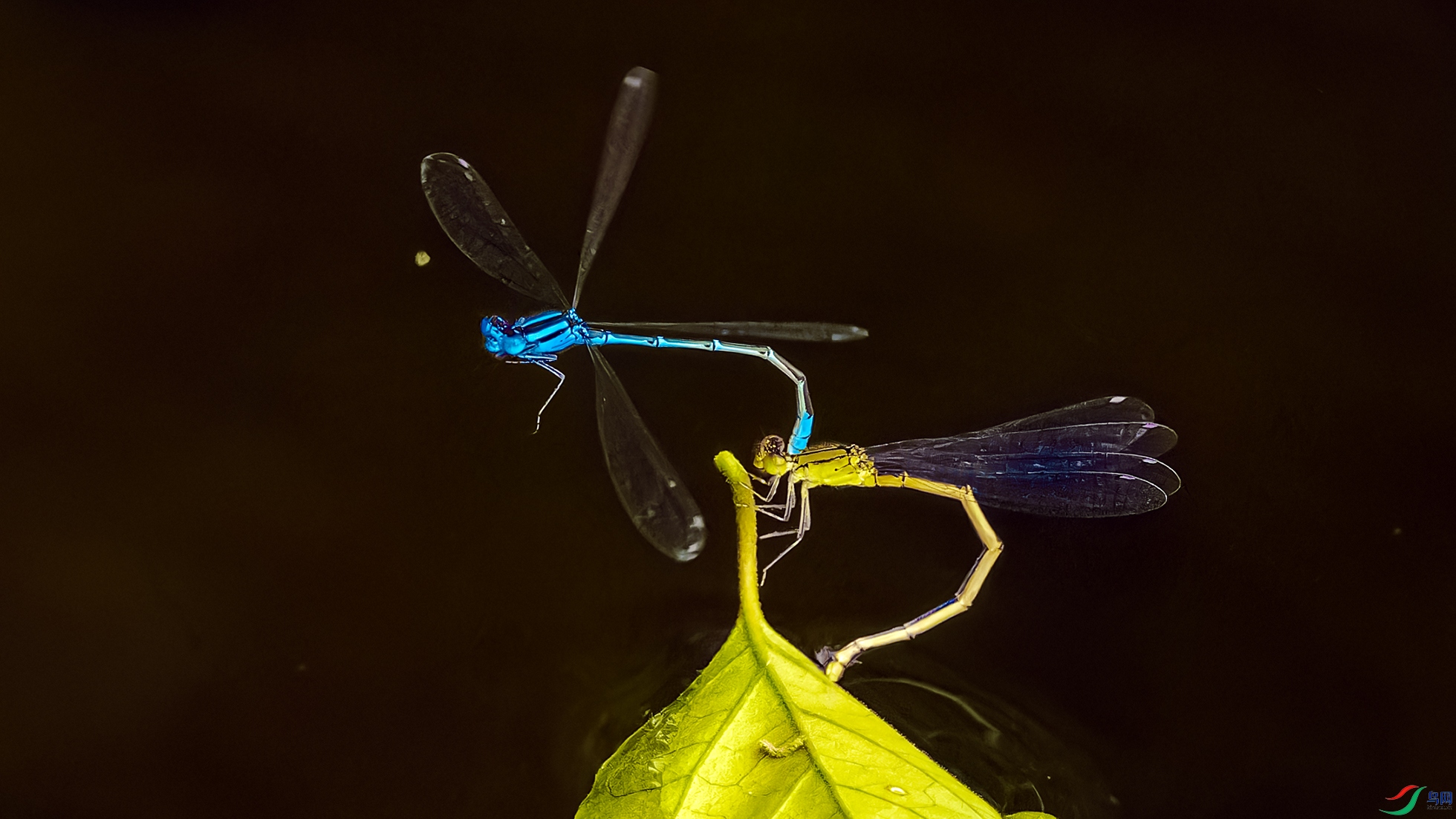 24.03��LPY_2733-NEF.jpg