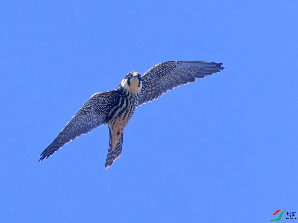 P9171926_DxO - ����.jpg