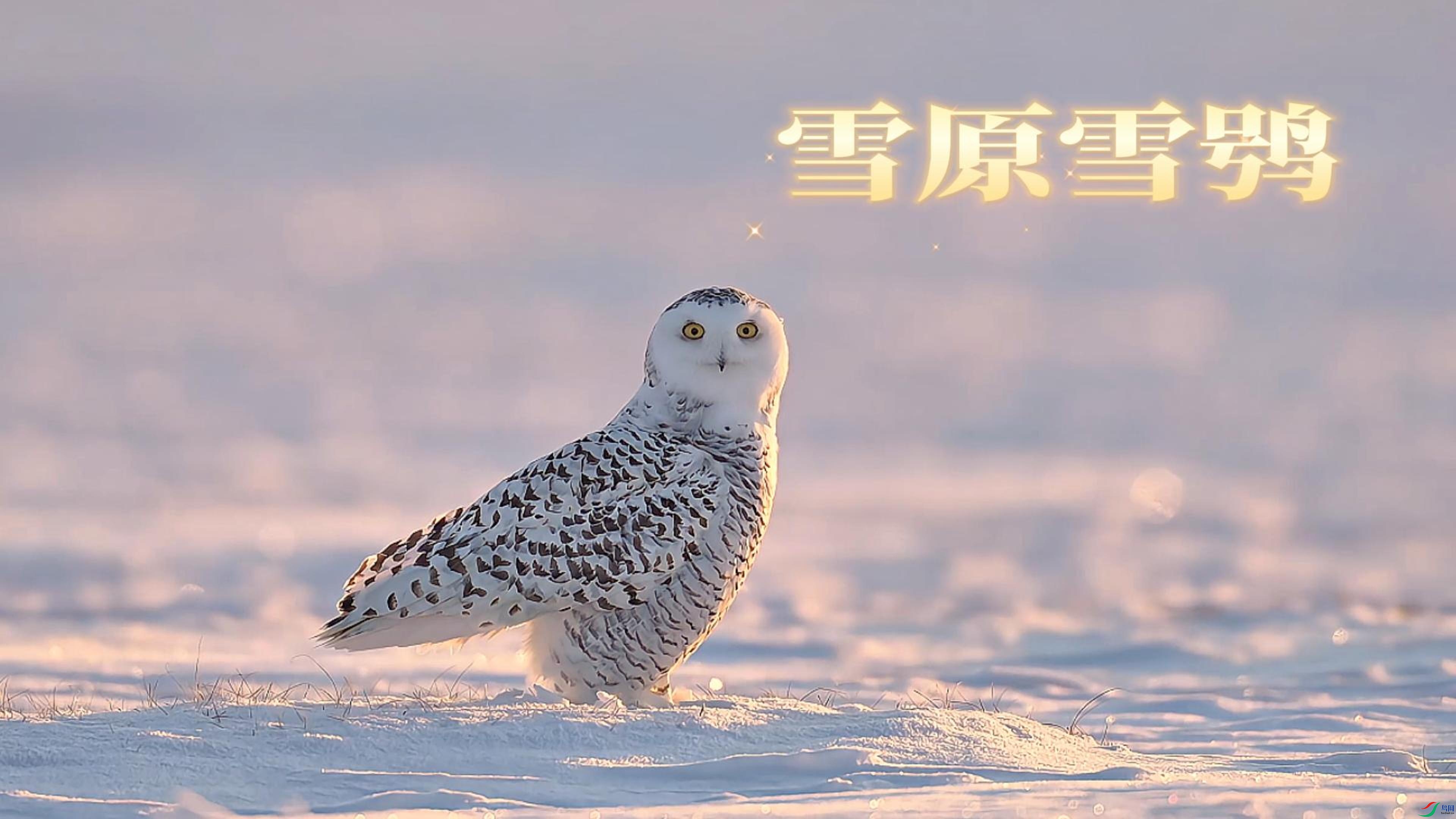 9��15�� (2)(2)A-����.jpg