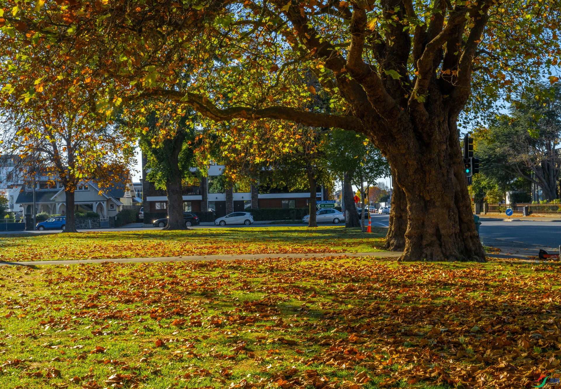 DSC_7333-1.jpg