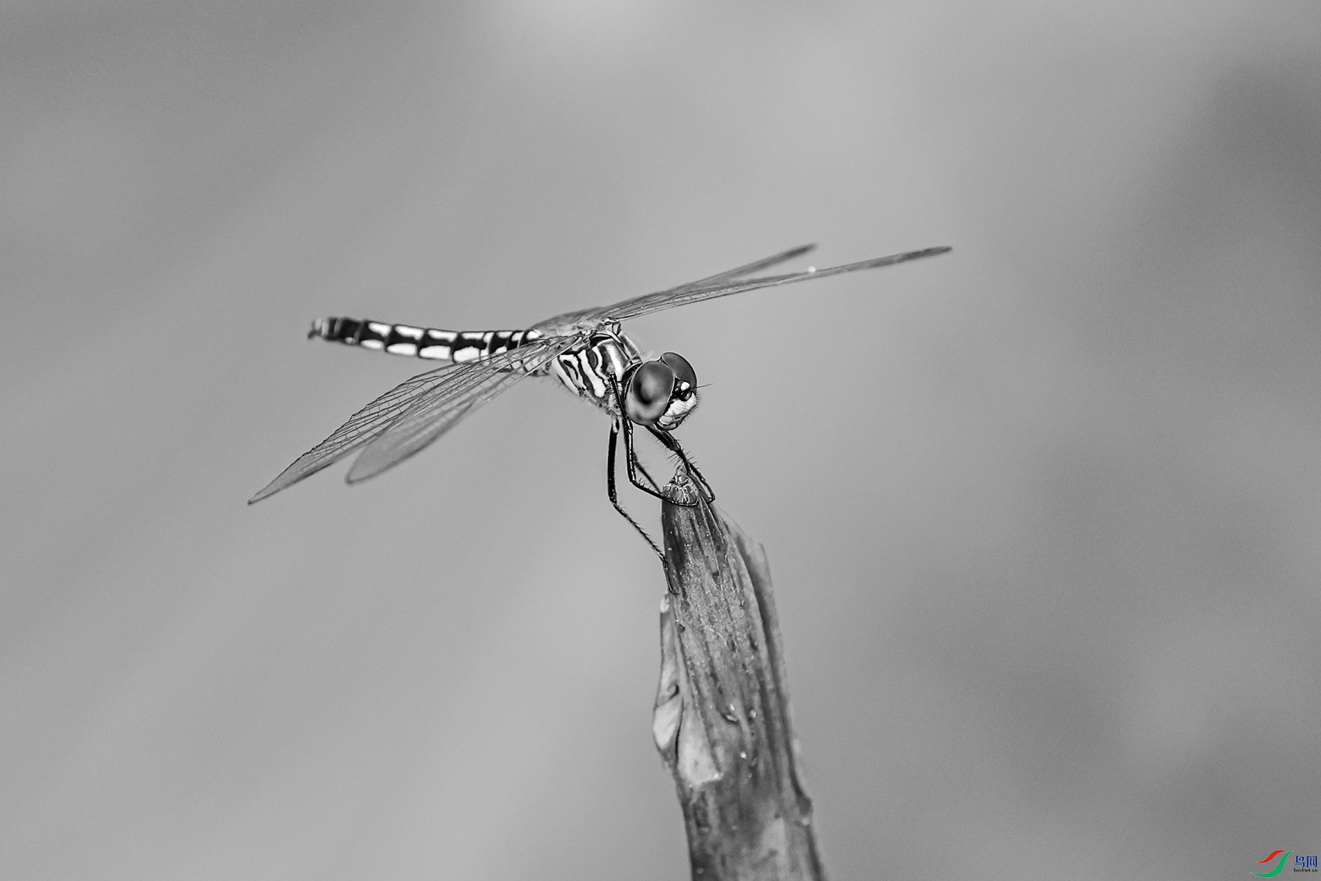 0918����.jpg