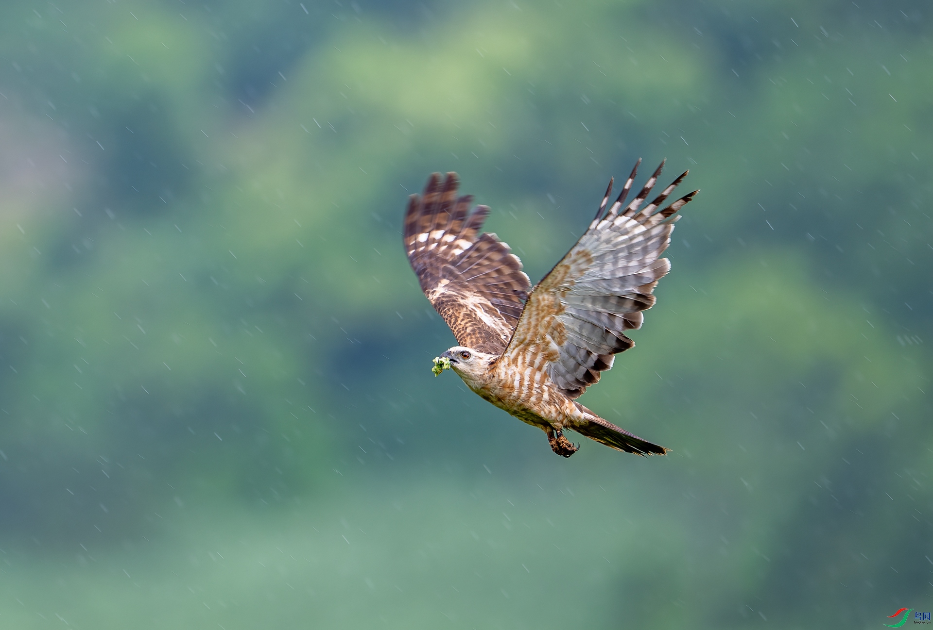 DSC_3355.jpg
