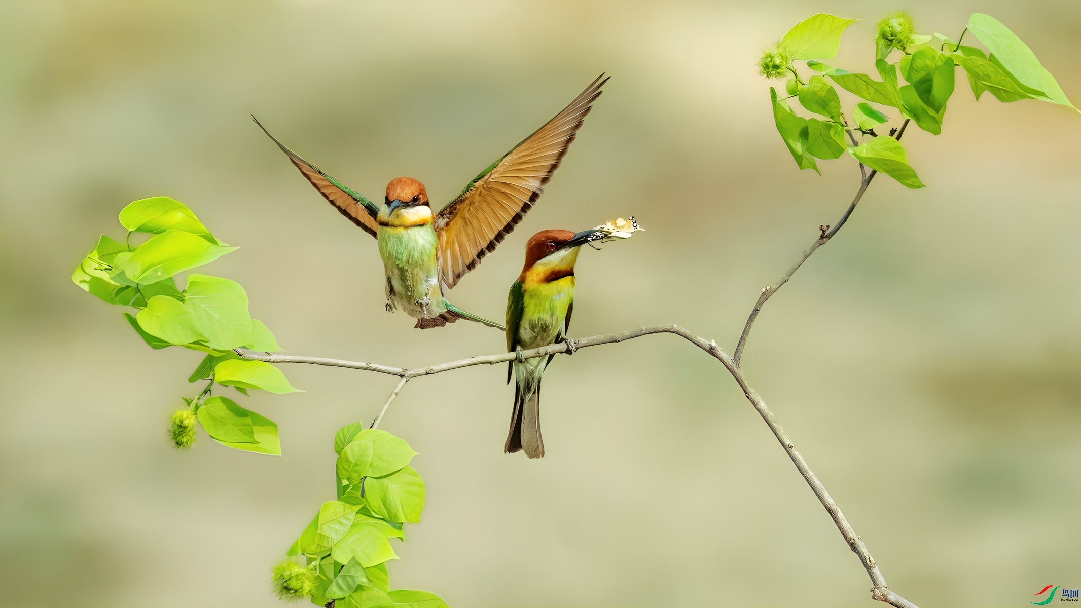 _DSC9376.jpg��ҫ_����-topaz-enhance-topaz-denoise_����_����.jpg