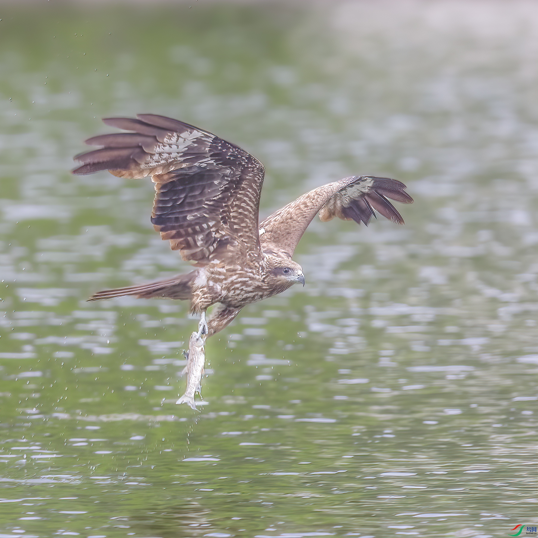 C09R9986 ����.jpg