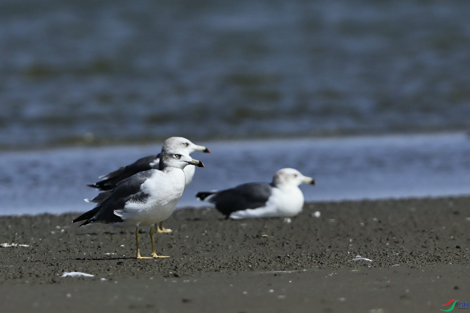 ��βŸ�� _98A4308.jpg