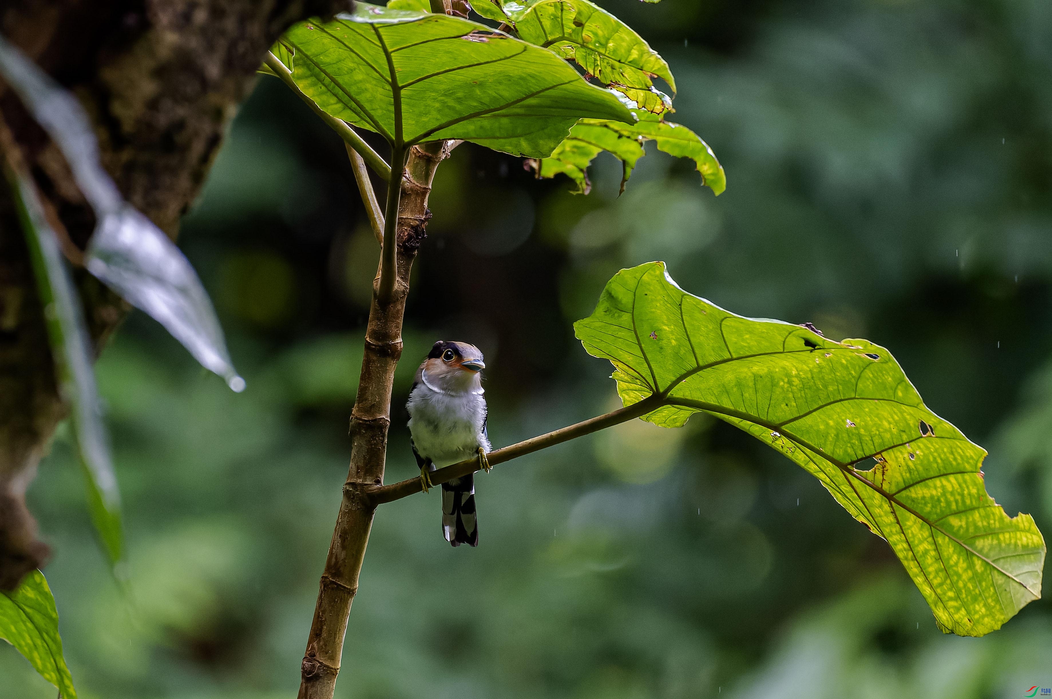 DSC_2680-NEF_DxO_DeepPRIME ���� 2.jpg