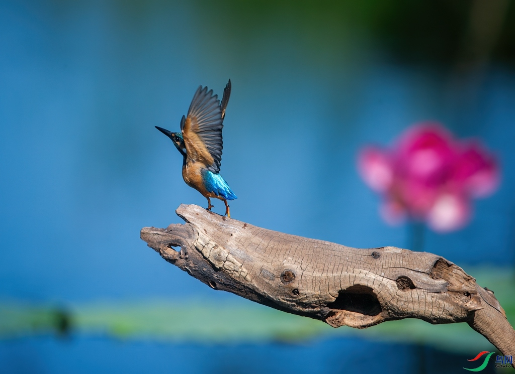 DSC_3568 ����_����.jpg