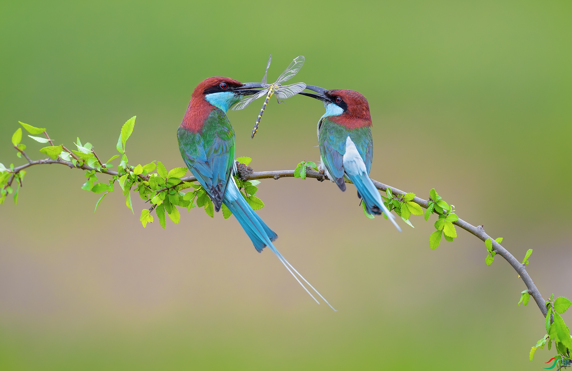 ����DSC_3771.jpg