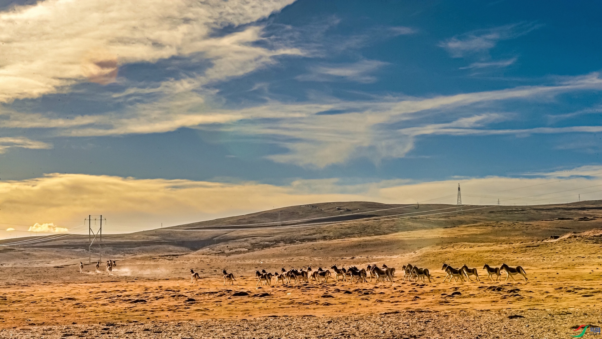 NIKON CORPORATION__NIKON D3__2018_05_13__c713200_����.jpg