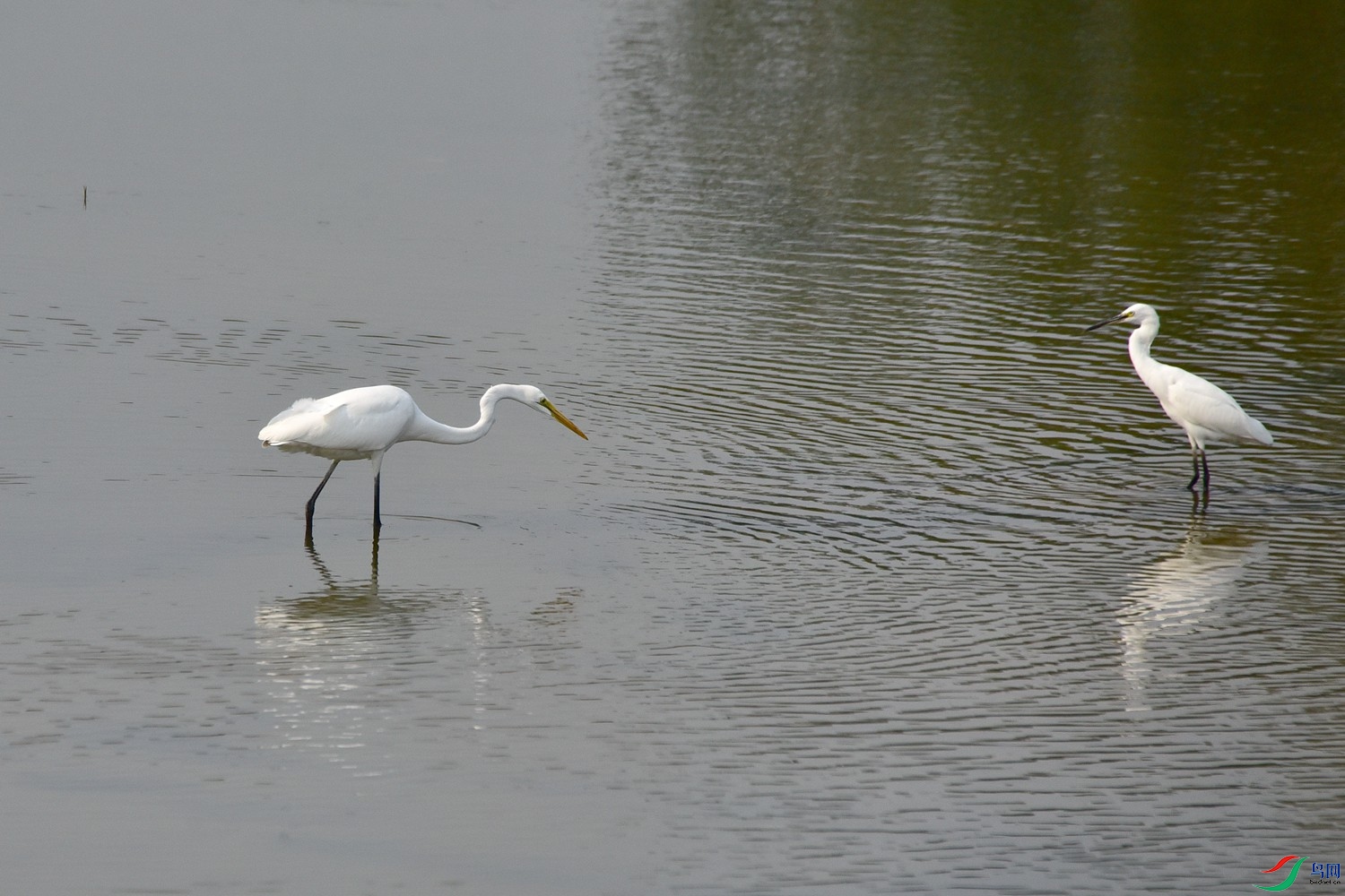 DSC_4046.JPG