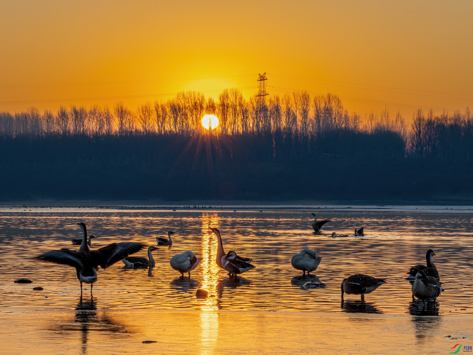 ��ӳ���0C4A6087-1.jpg