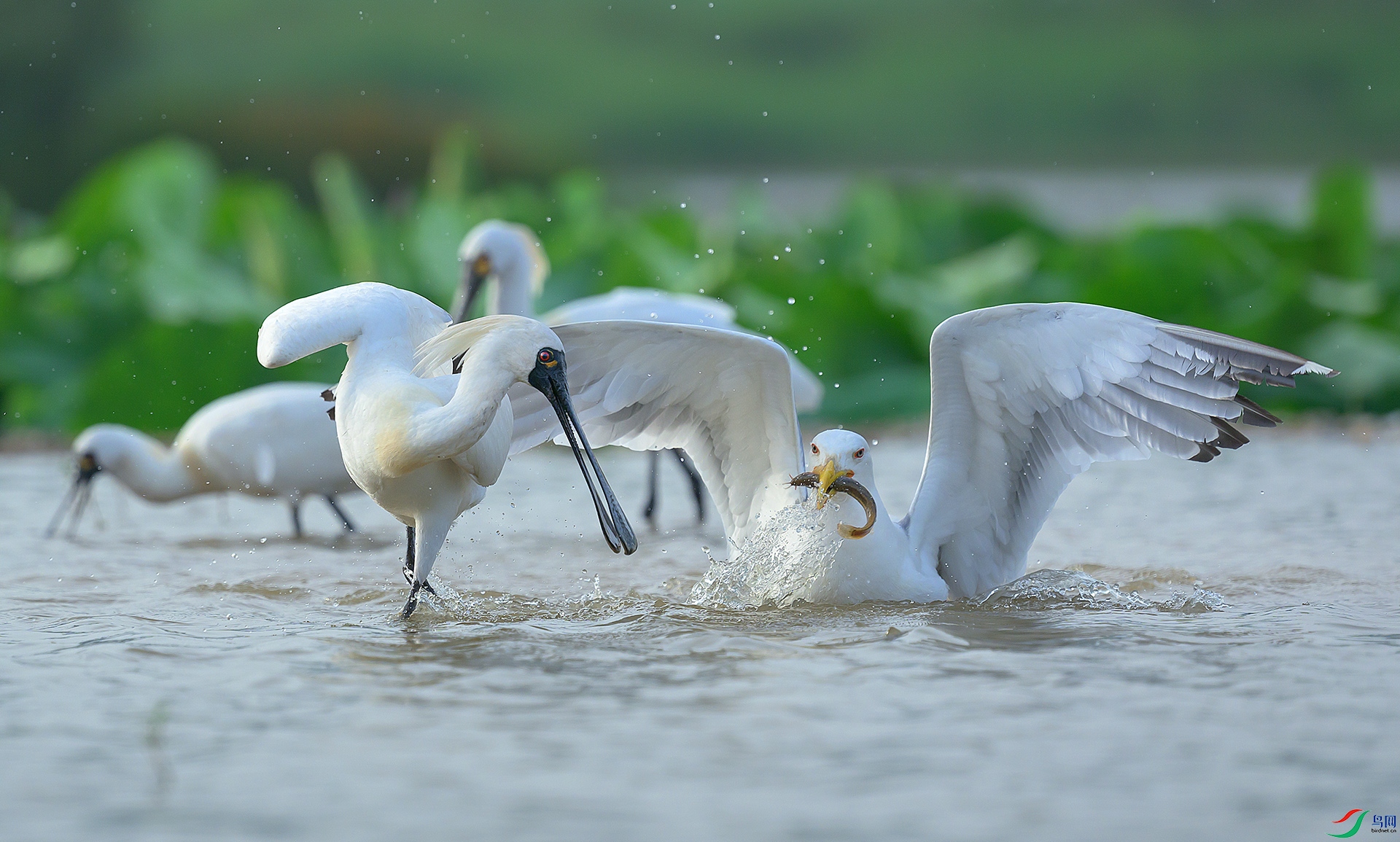 DSC_4040 ���� 2.jpg