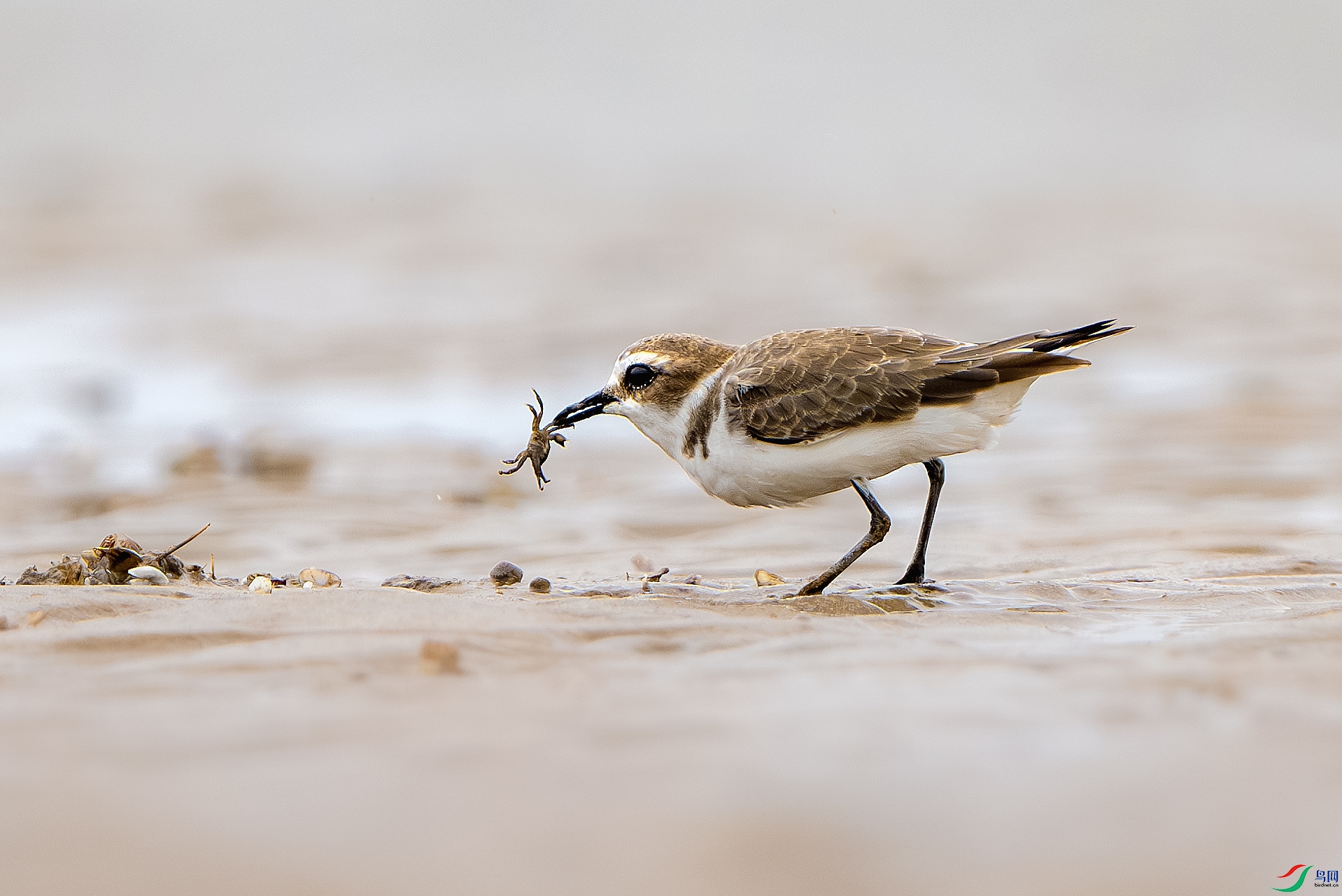 _DSC0854-����ǿ-NR ����С.jpg