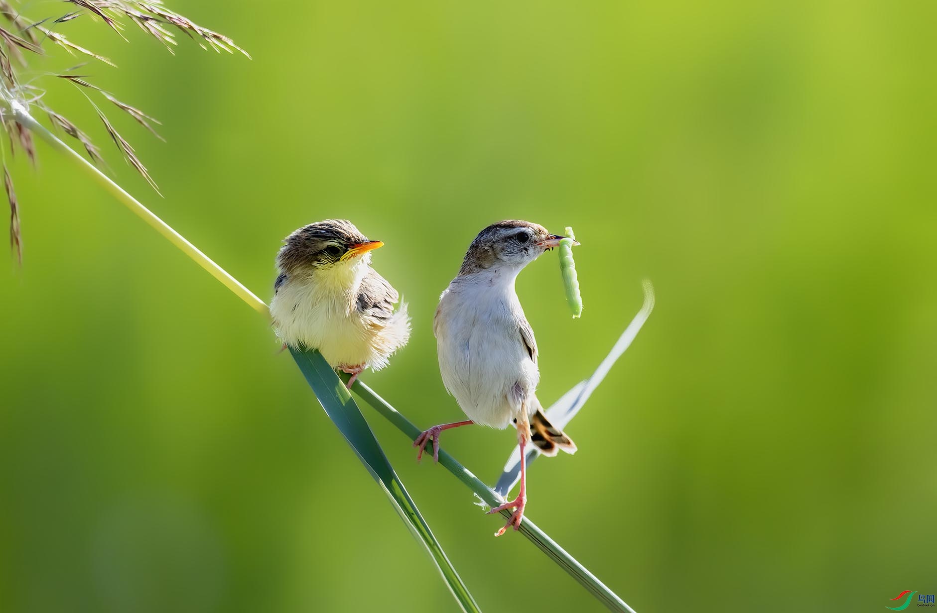 ���˵����