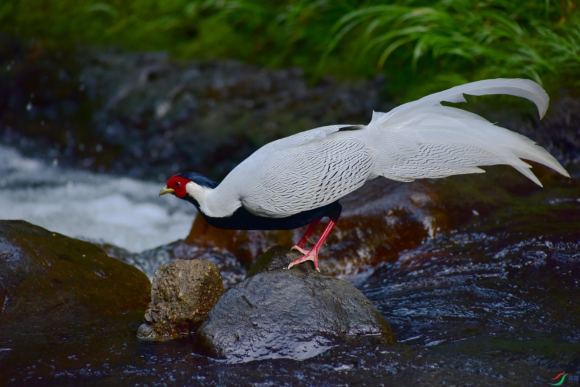 D8I_3581.jpg