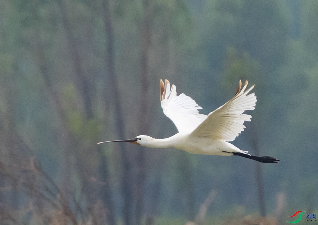 7V1A7302 ����.jpg