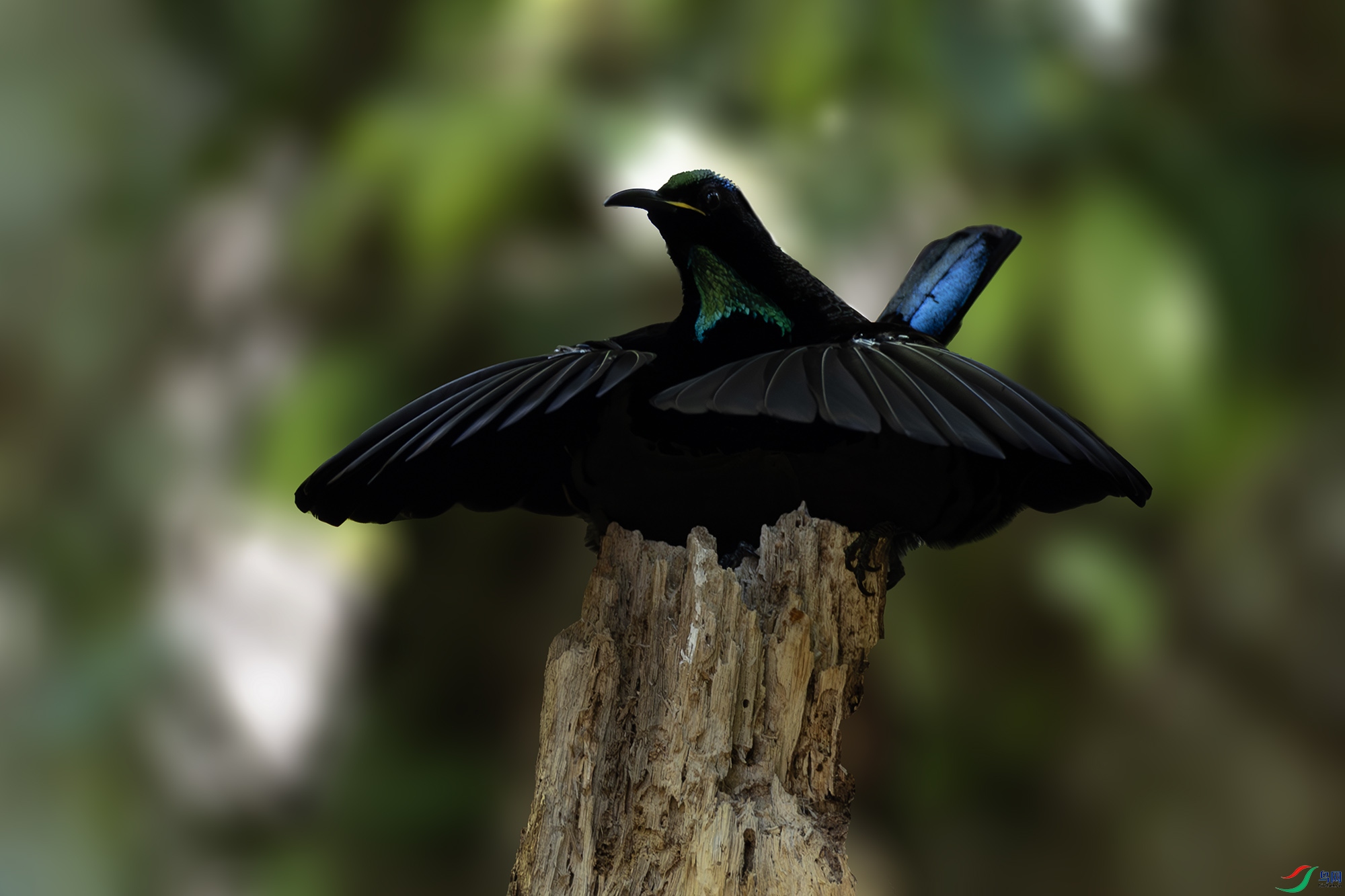 _J2A4228-����ǿ-NR.jpg 1.jpg