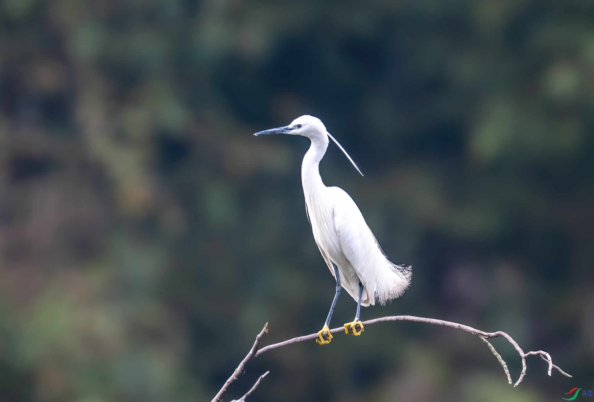 DSC_5278-1.jpg