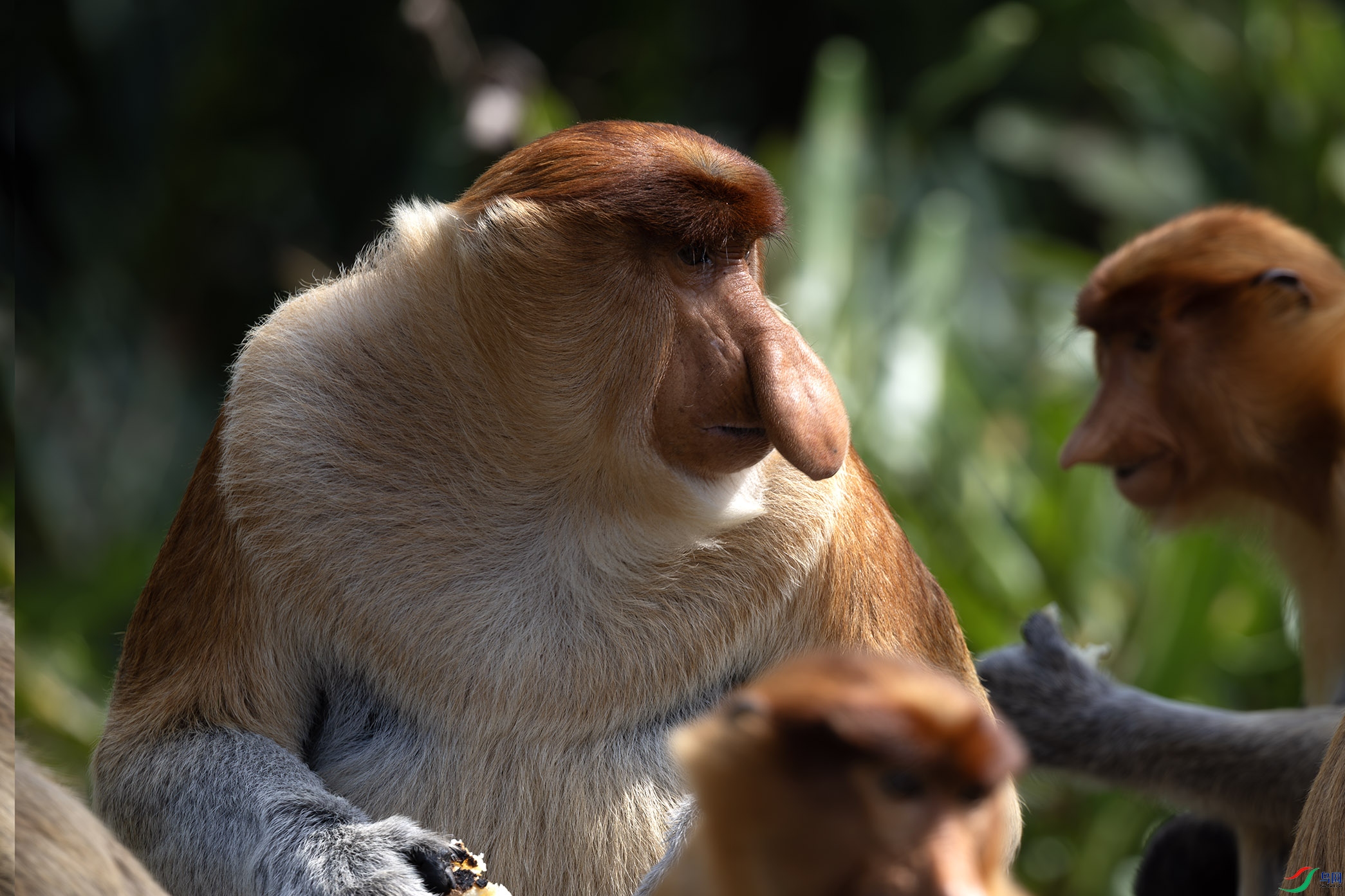 _J2A3333-����ǿ-NR.jpg 1.jpg