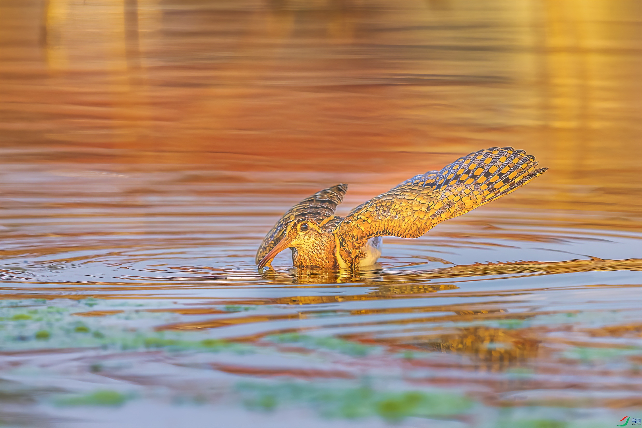 _09R7916 ����.jpg