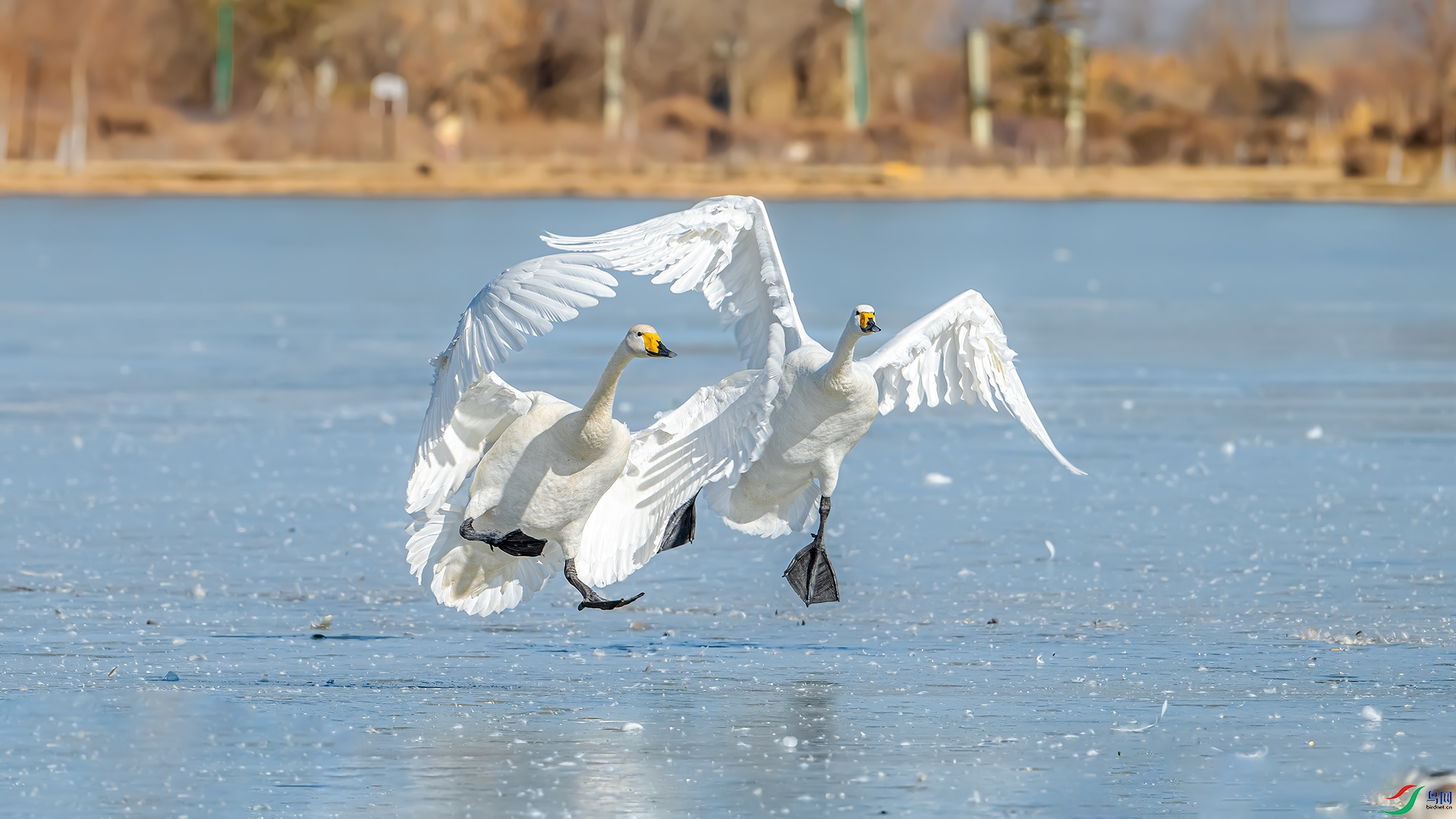 DSC_5280.jpg