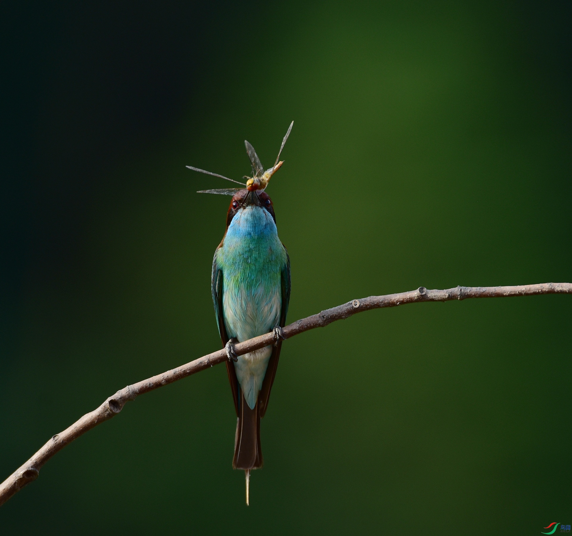 D8I_9877.jpg