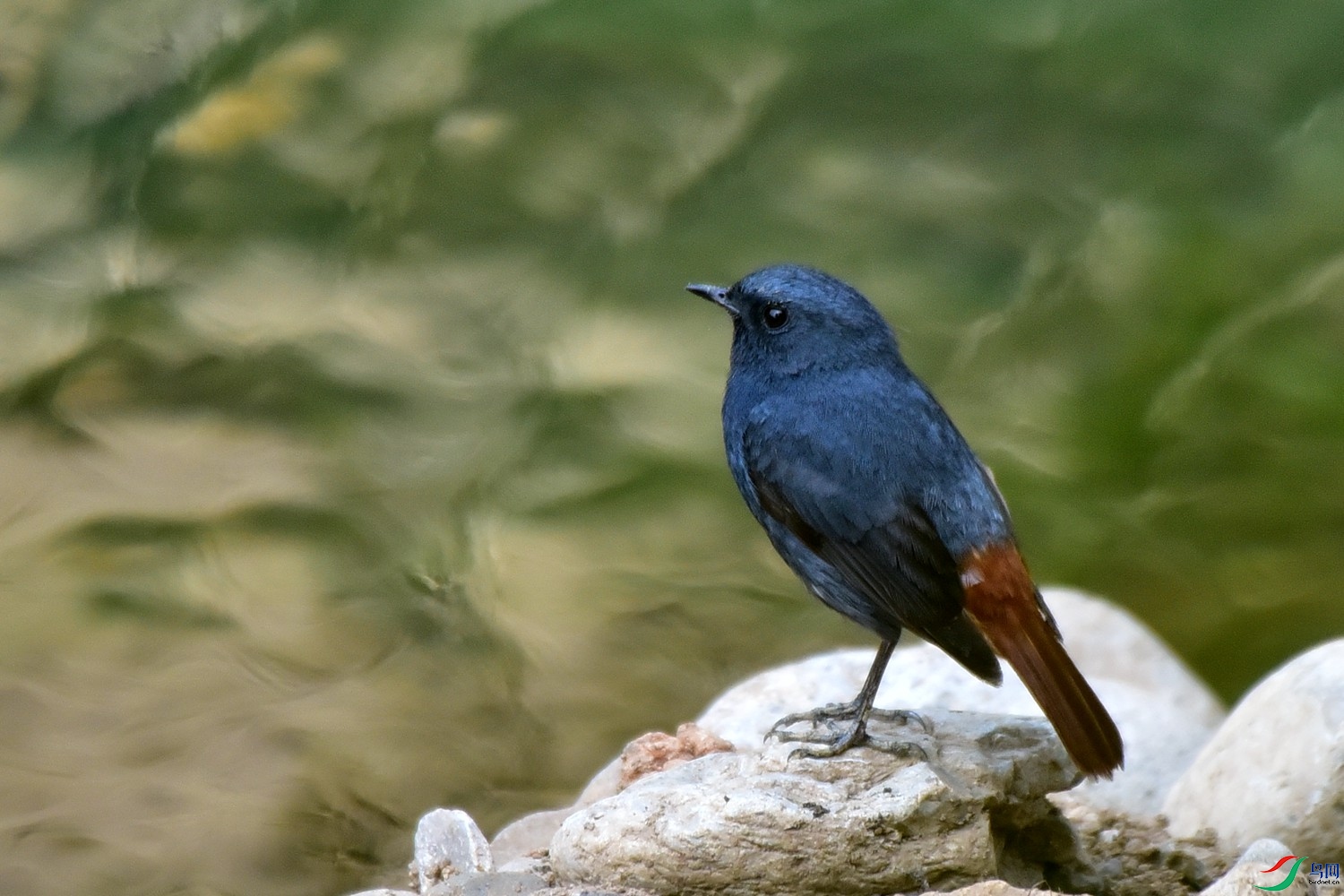 DSC_7580.JPG