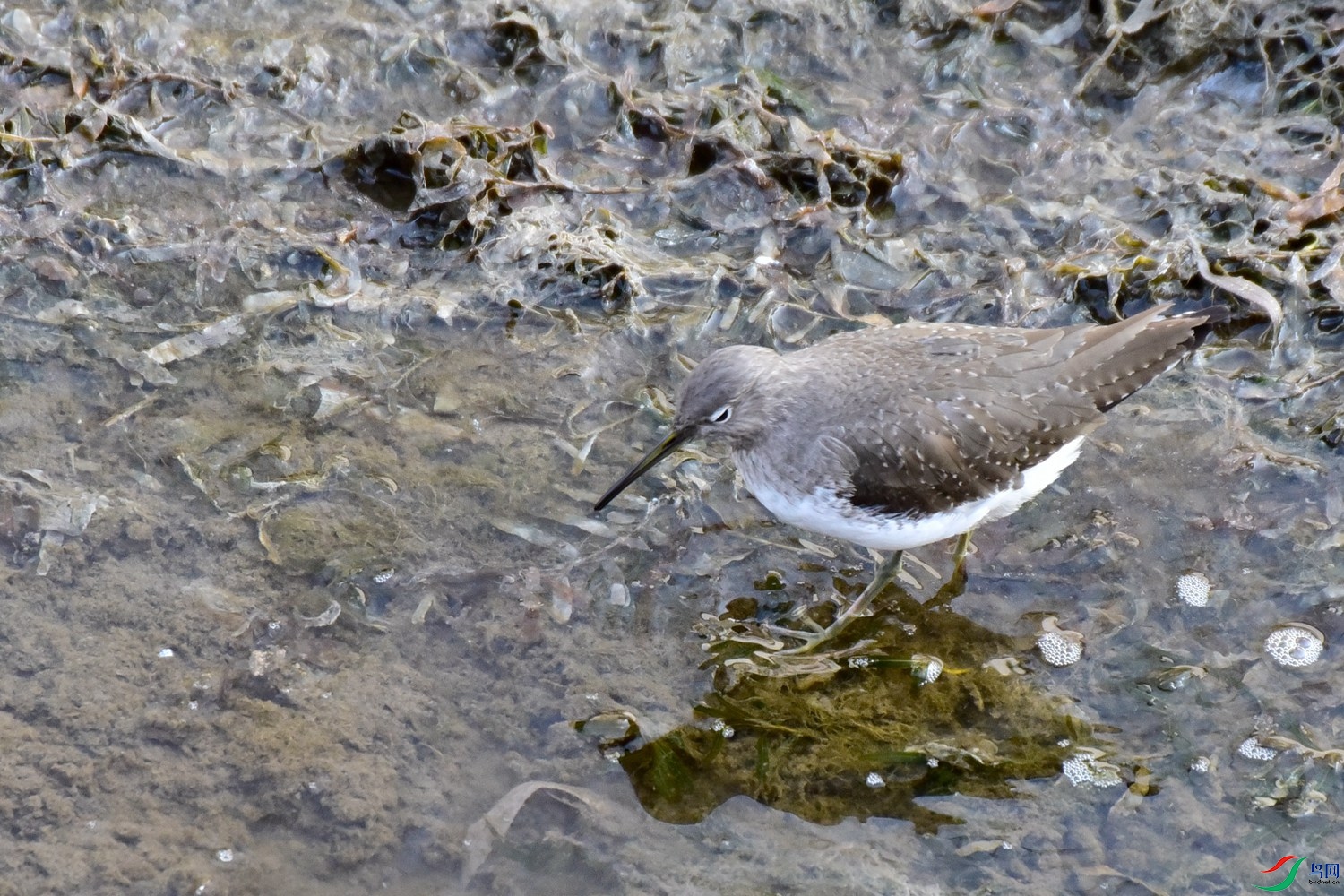 DSC_4402.JPG