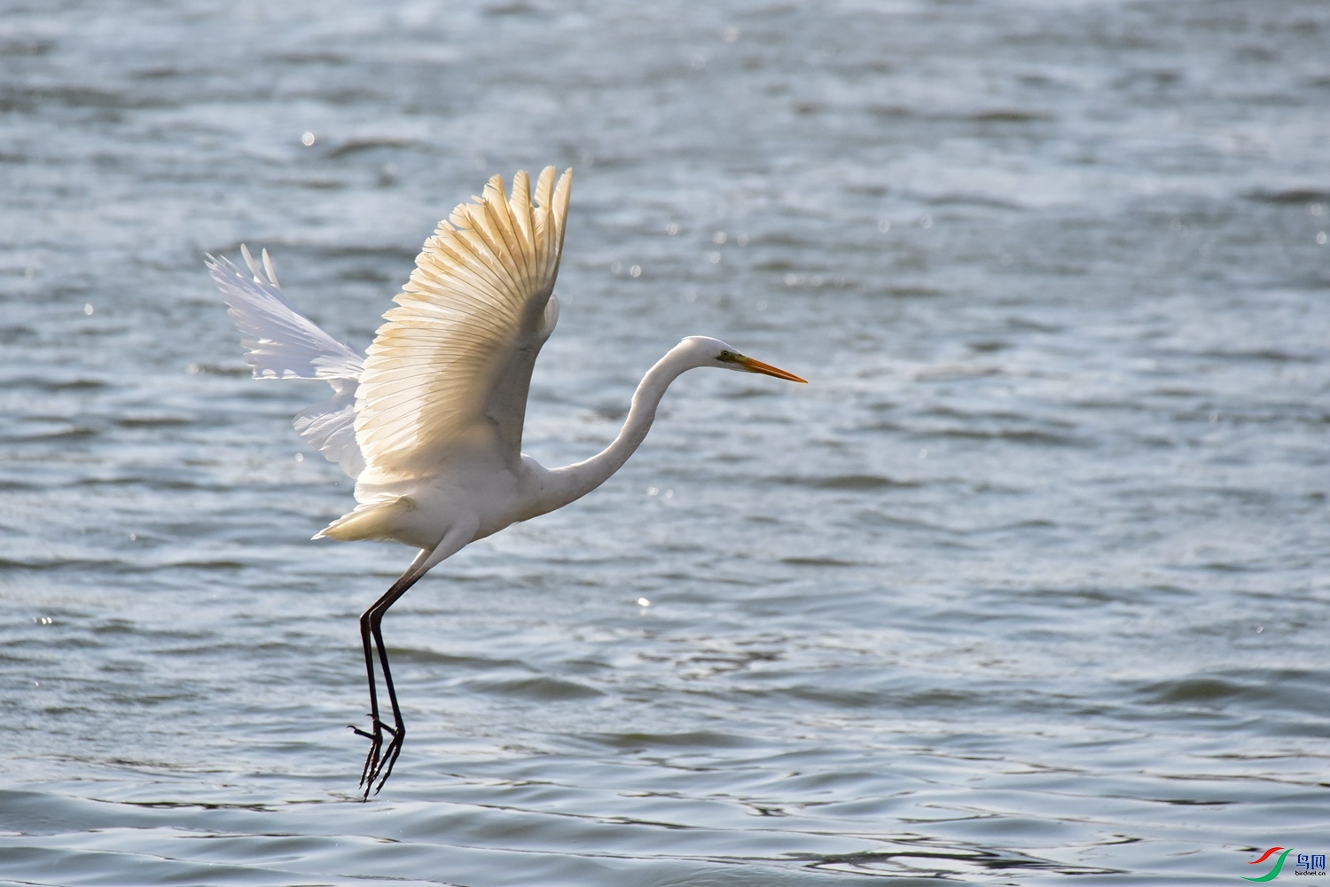 DSC_6014.JPG