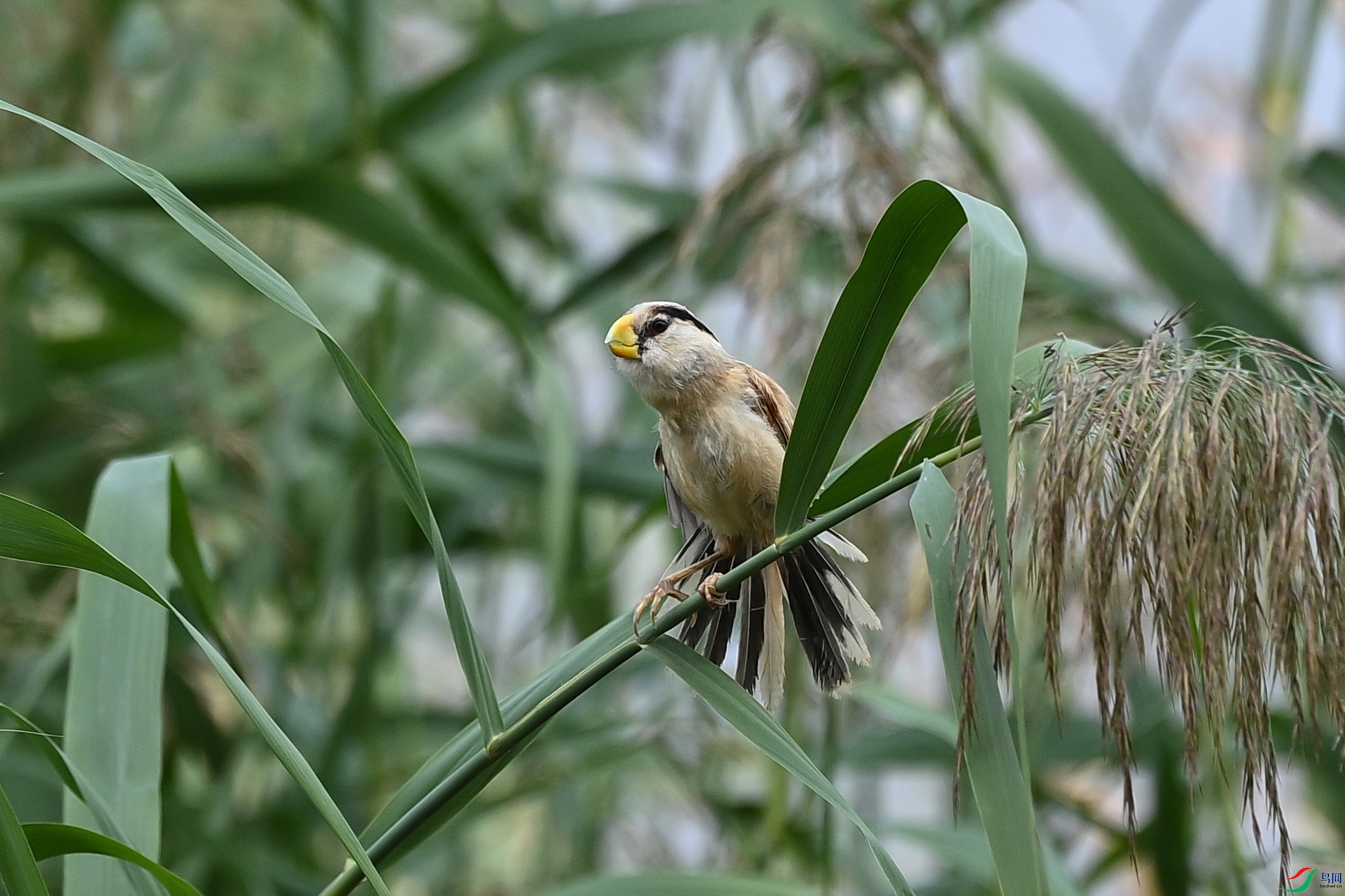 DSC_6756.JPG