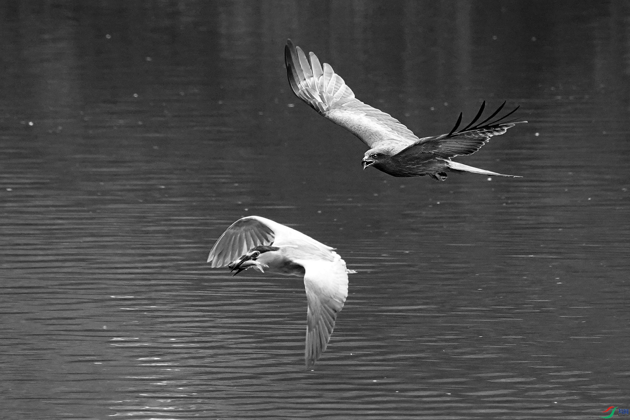 �ڶ�� (7) .jpg