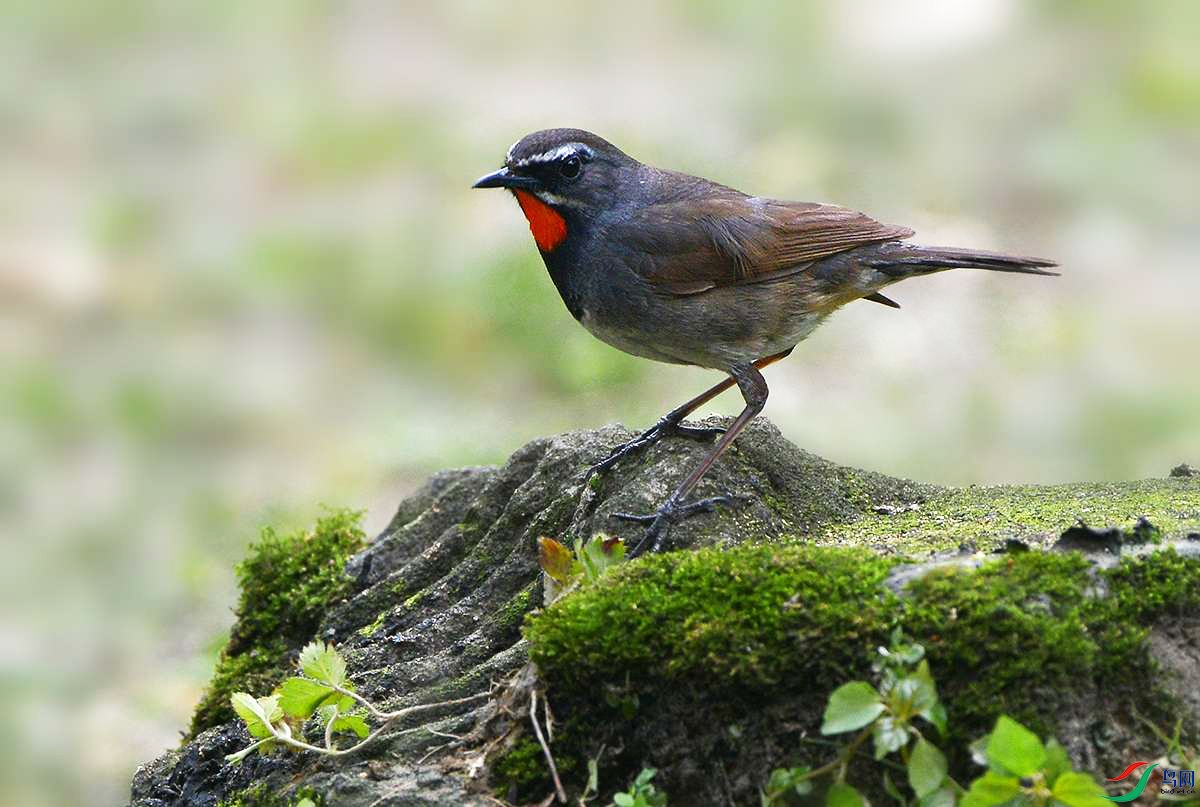 DSC_4767_.jpg