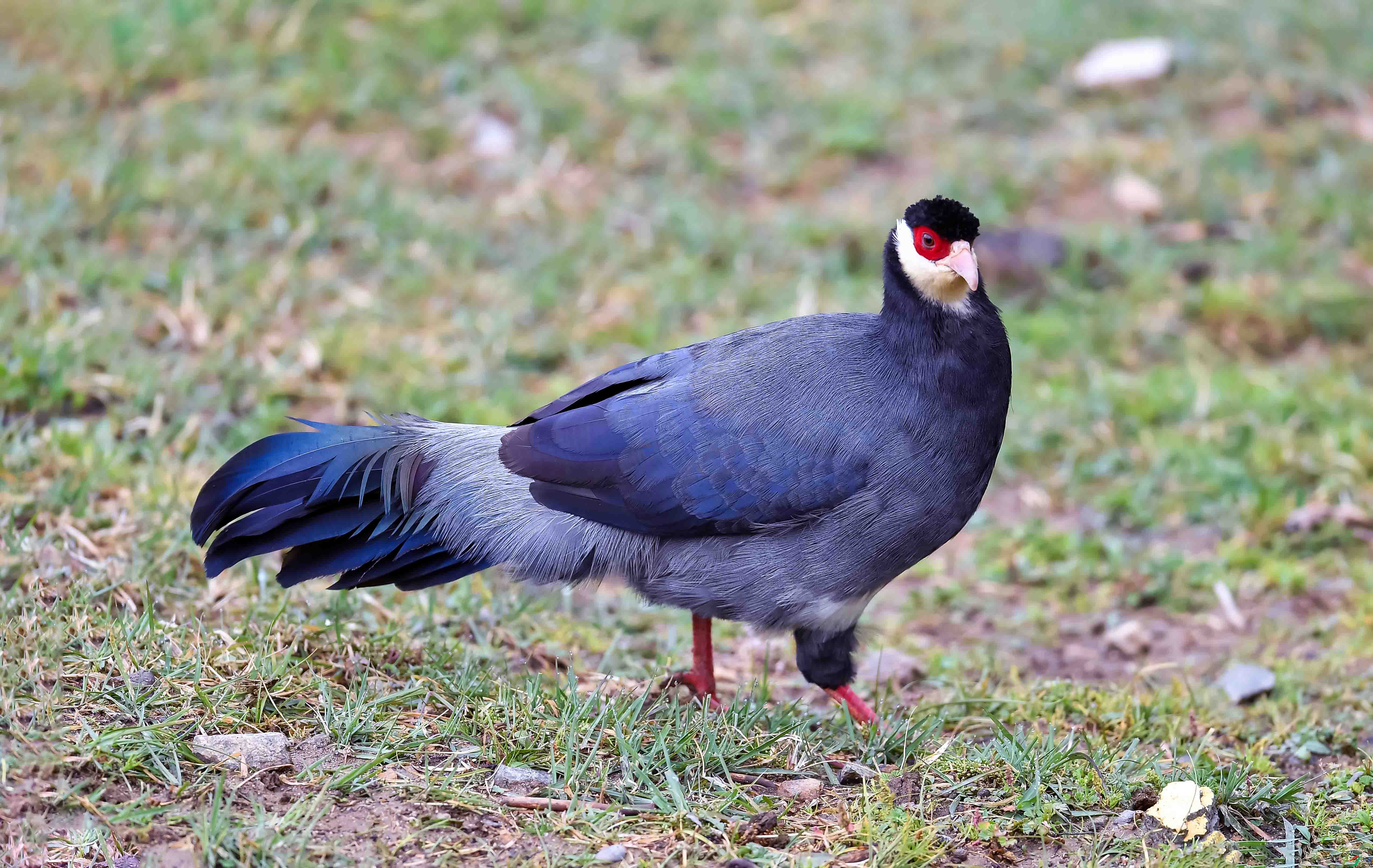 DSC_3073.jpg